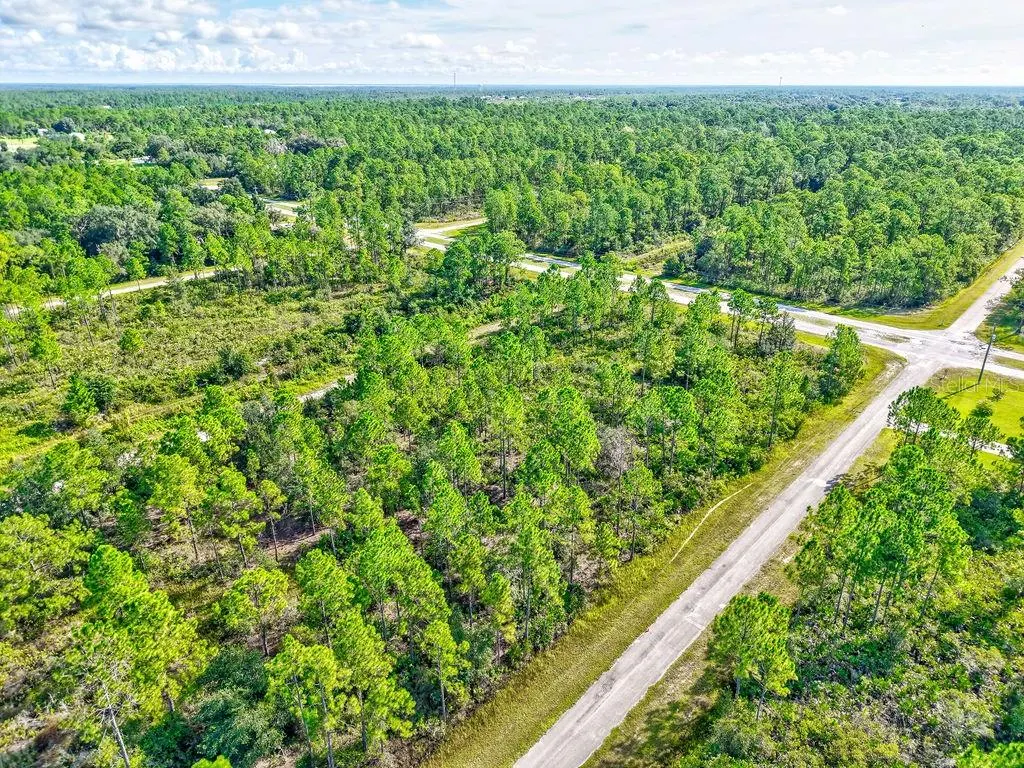 406 ALLAMANDA DR