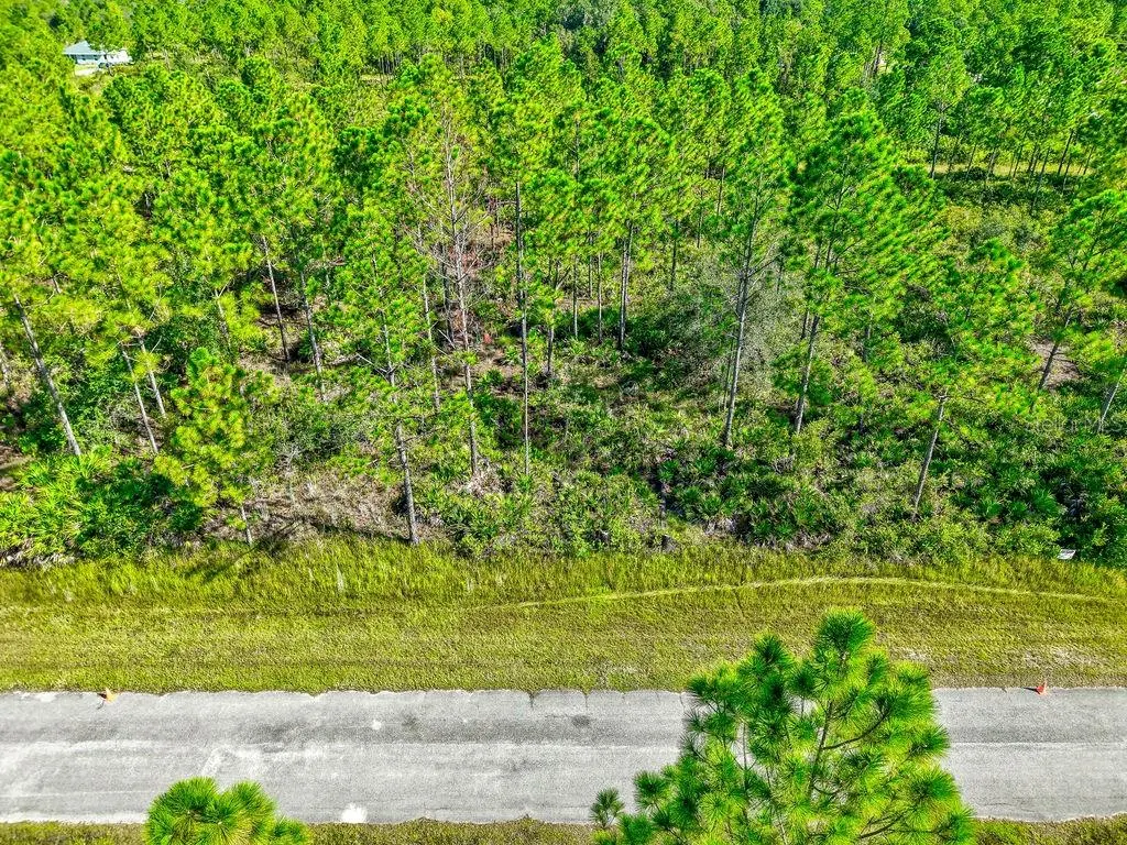 406 ALLAMANDA DR
