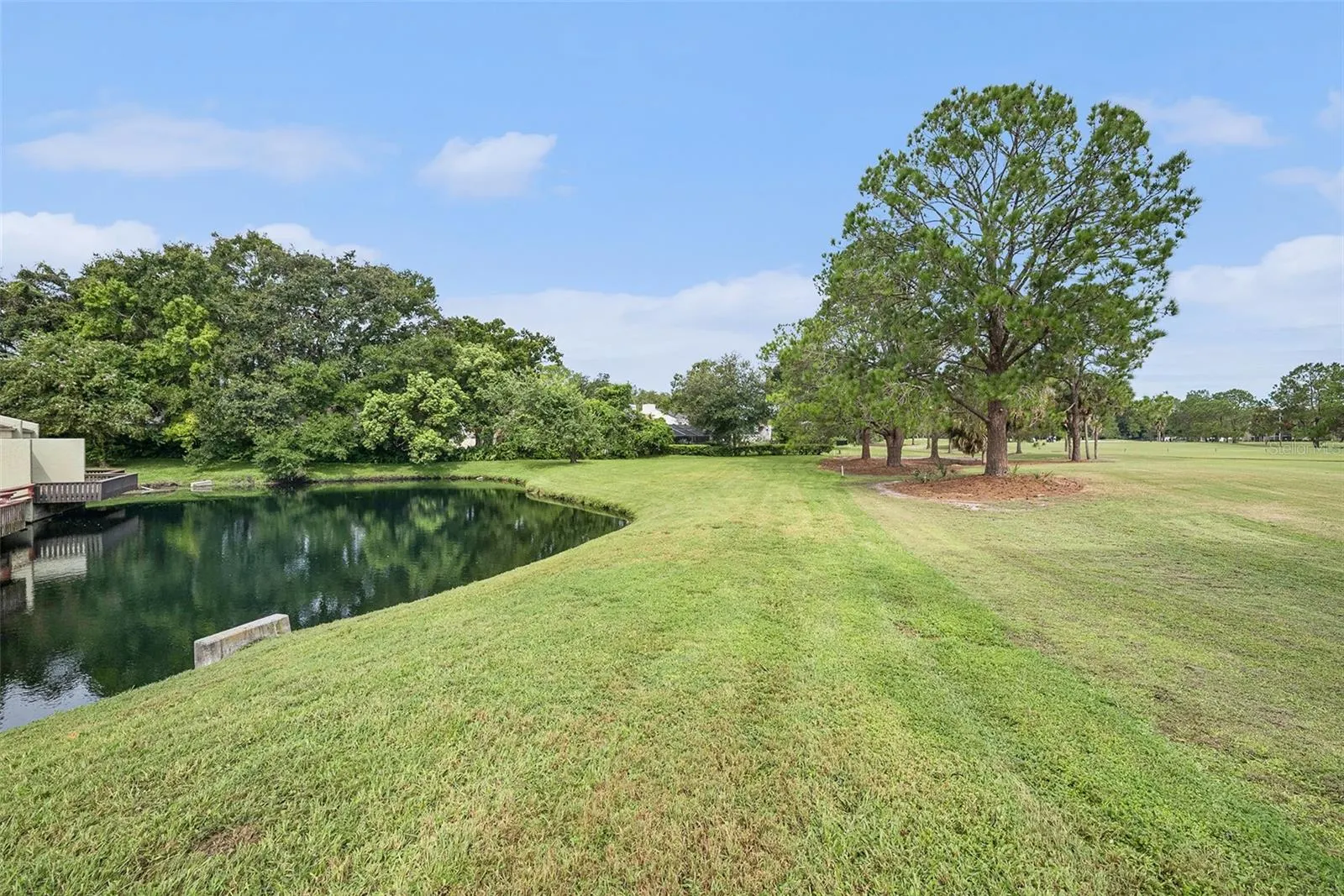 13512 PALMWOOD LN