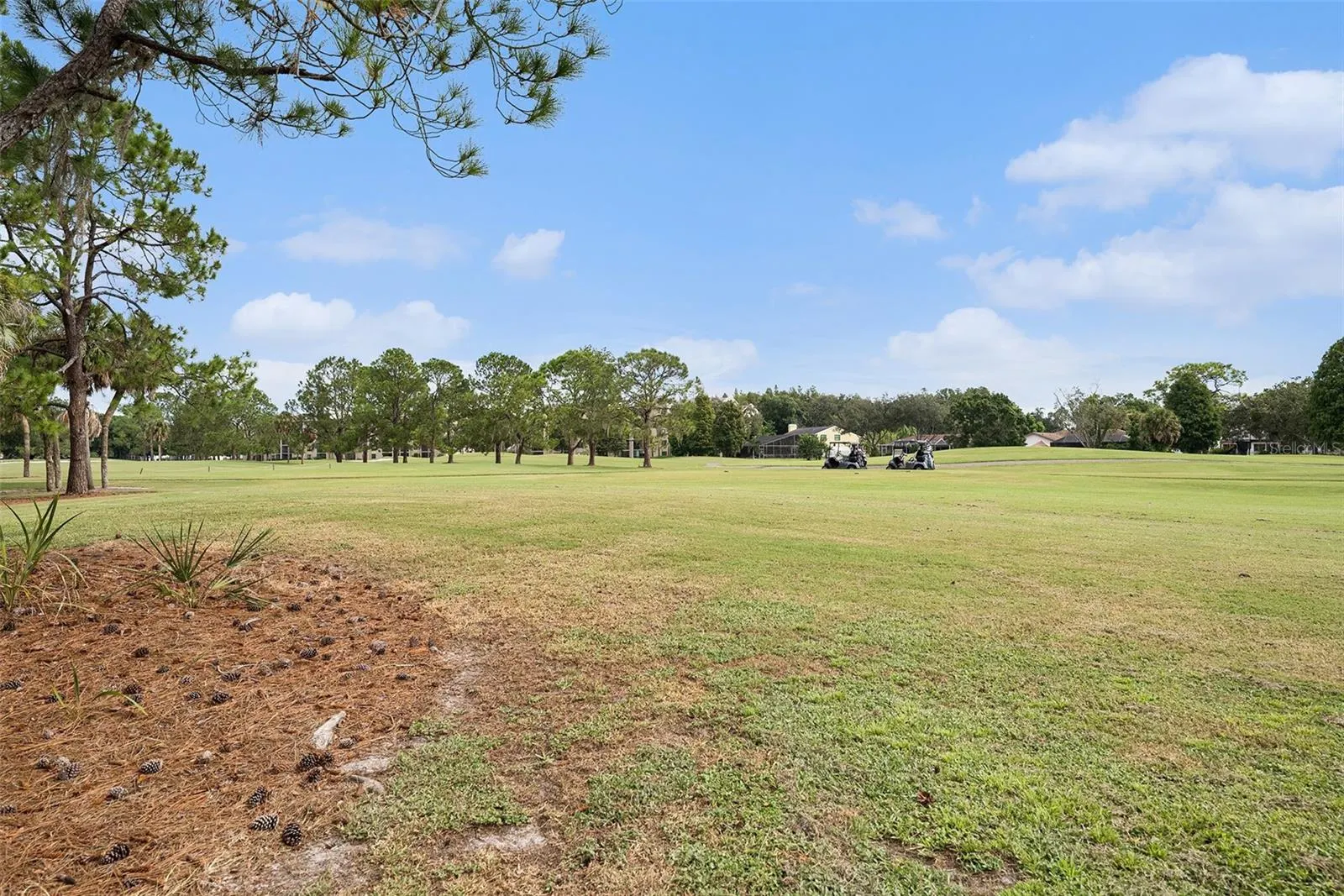 13512 PALMWOOD LN