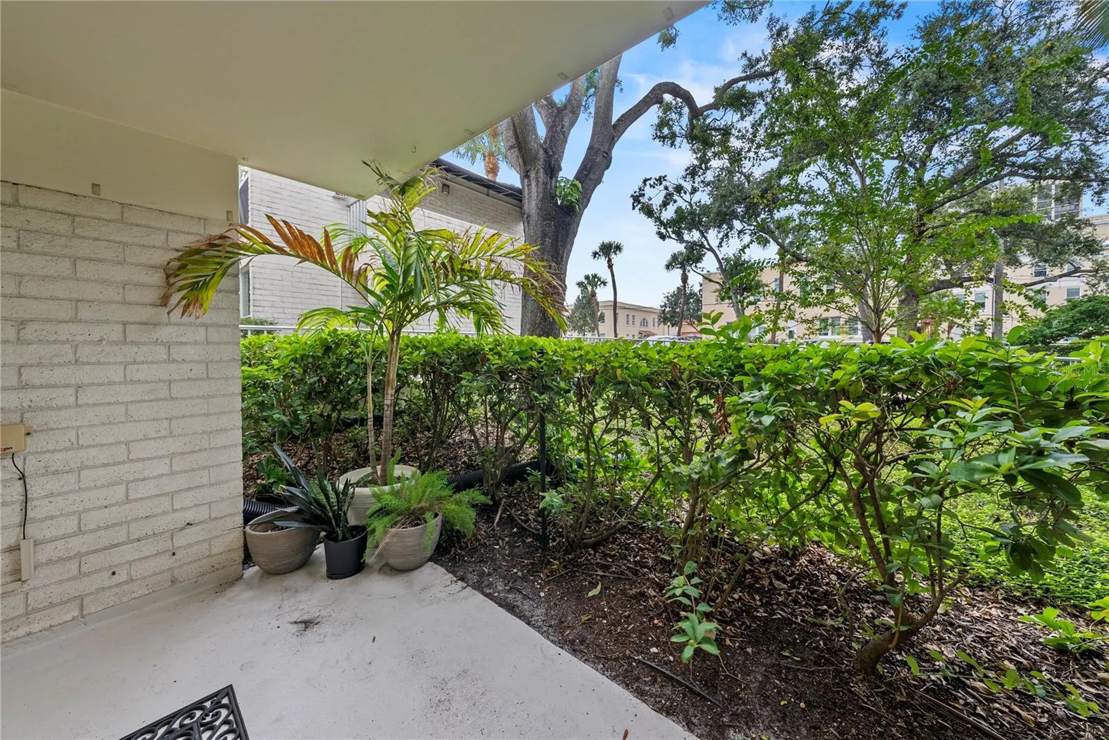 3325 BAYSHORE BLVD #C11, #C11