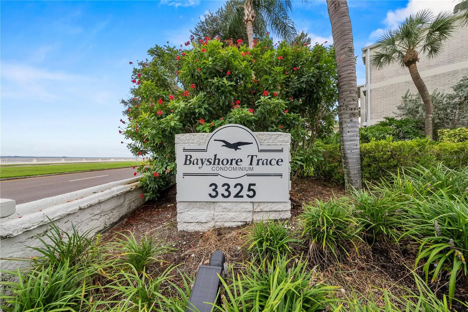 3325 BAYSHORE BLVD #C11, #C11