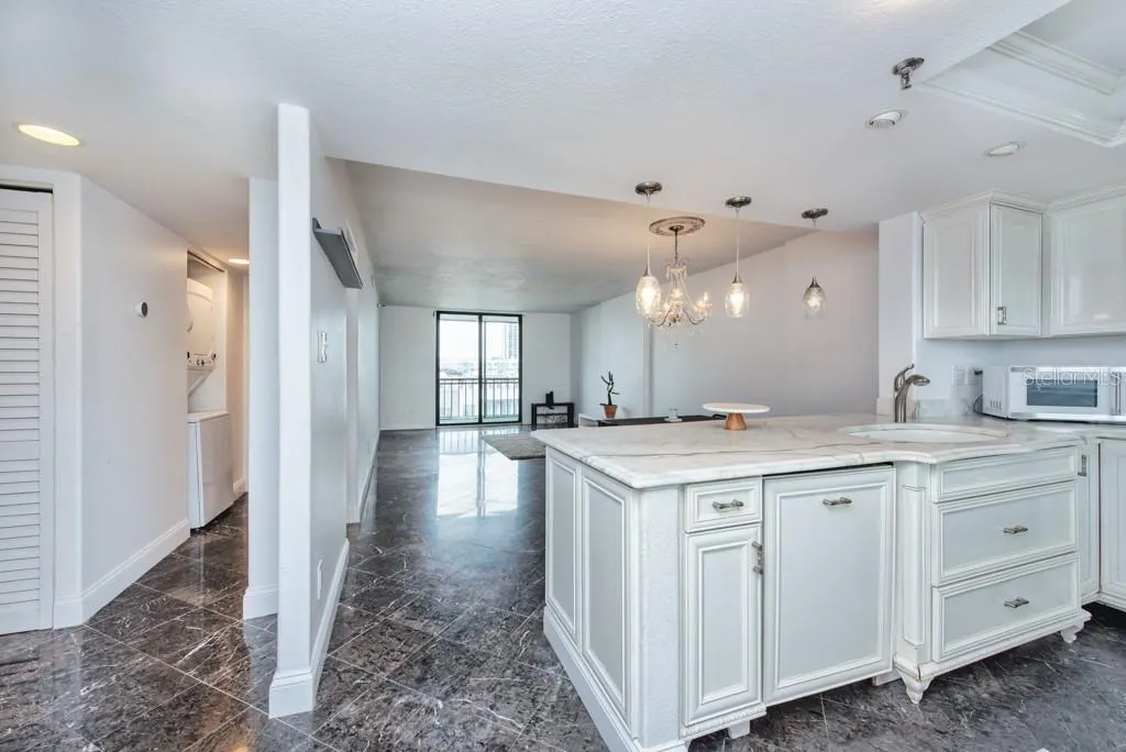 201 W LAUREL ST #909, #909