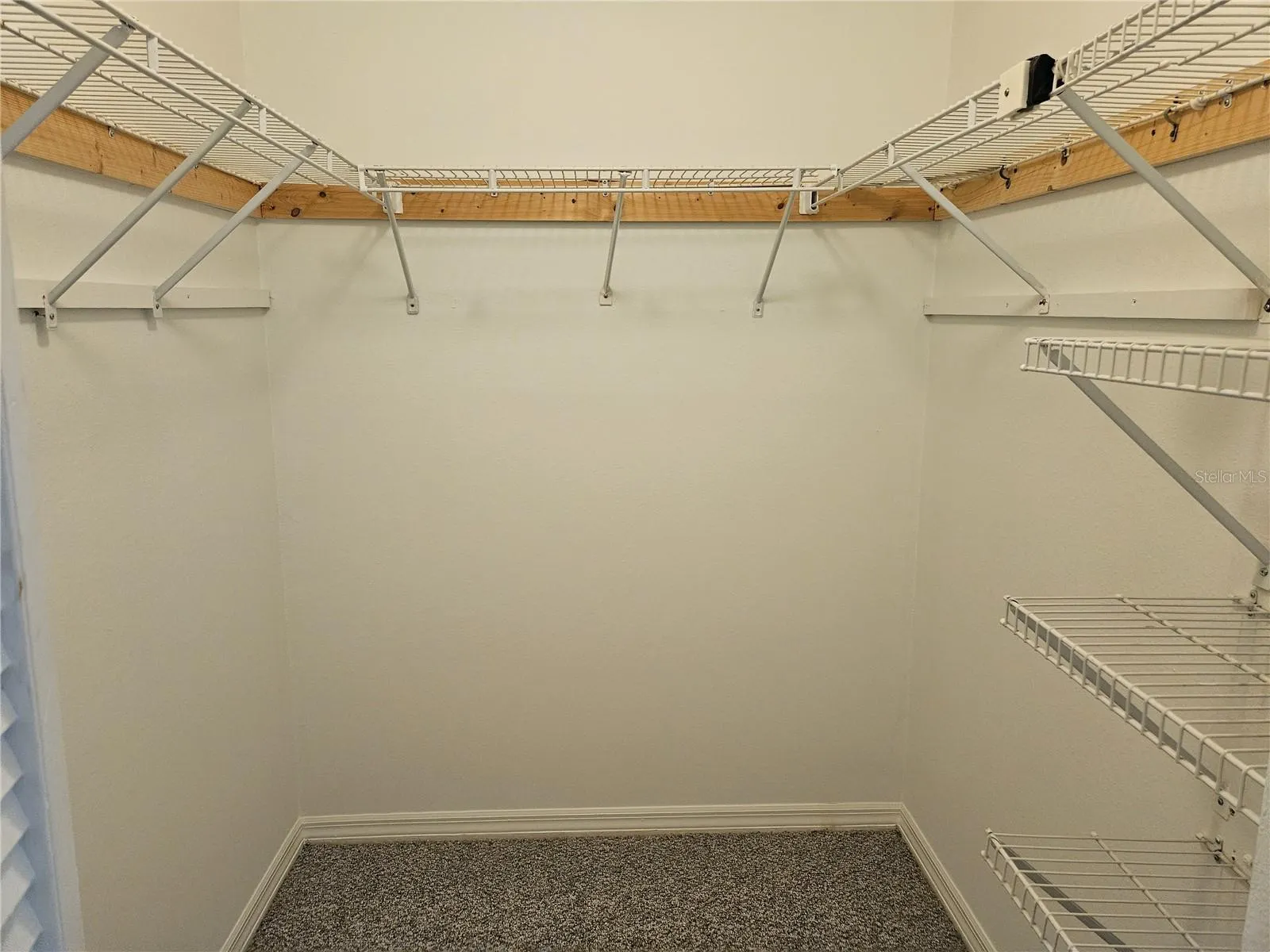 2405 NEW HAVEN CIR