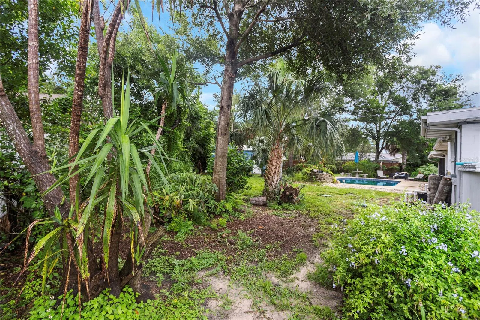 310 TERRACE DR