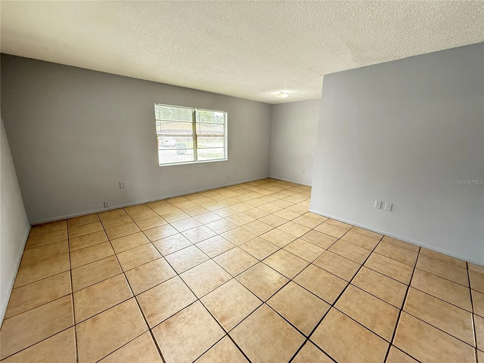 2456 CHESTNUT WOODS DR