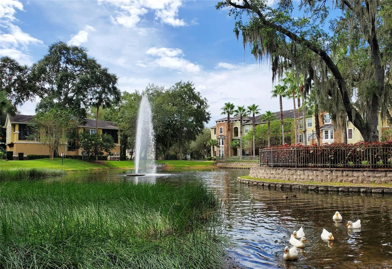 2406 COURTNEY MEADOWS CT #303, #303