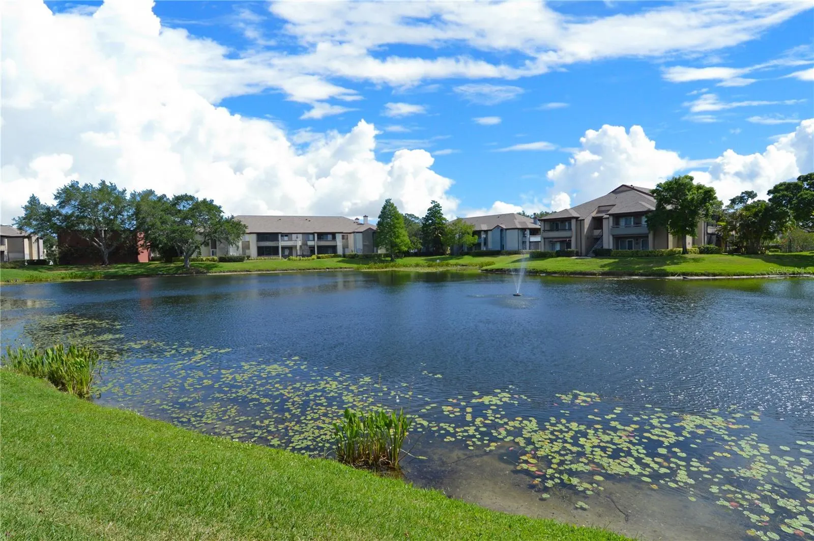 10265 GANDY BLVD N #1801, #1801