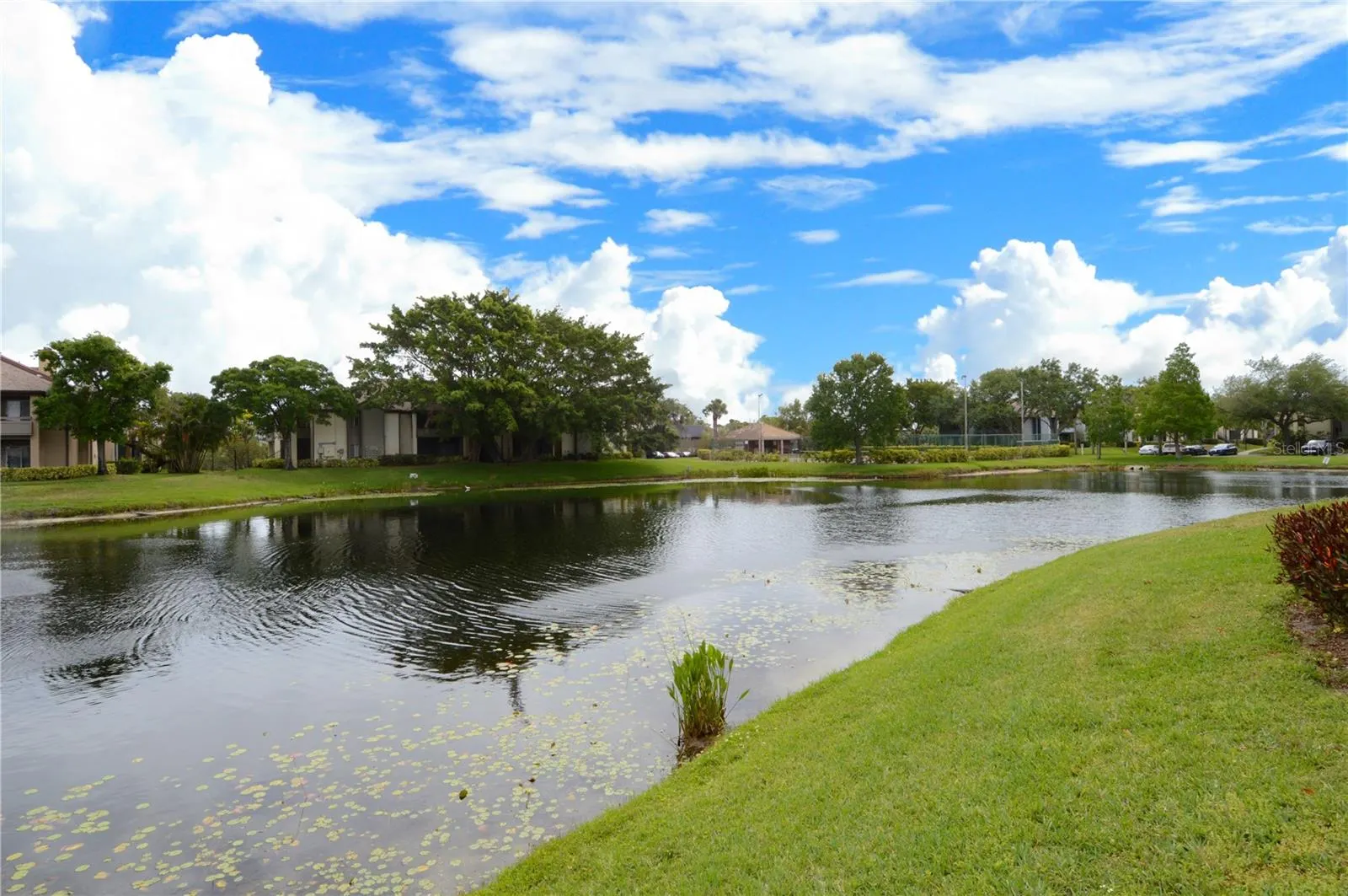 10265 GANDY BLVD N #1801, #1801