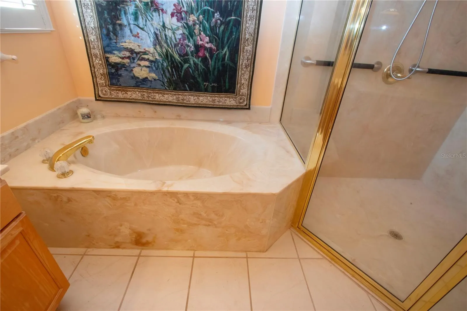 1115 SIGNATURE DR