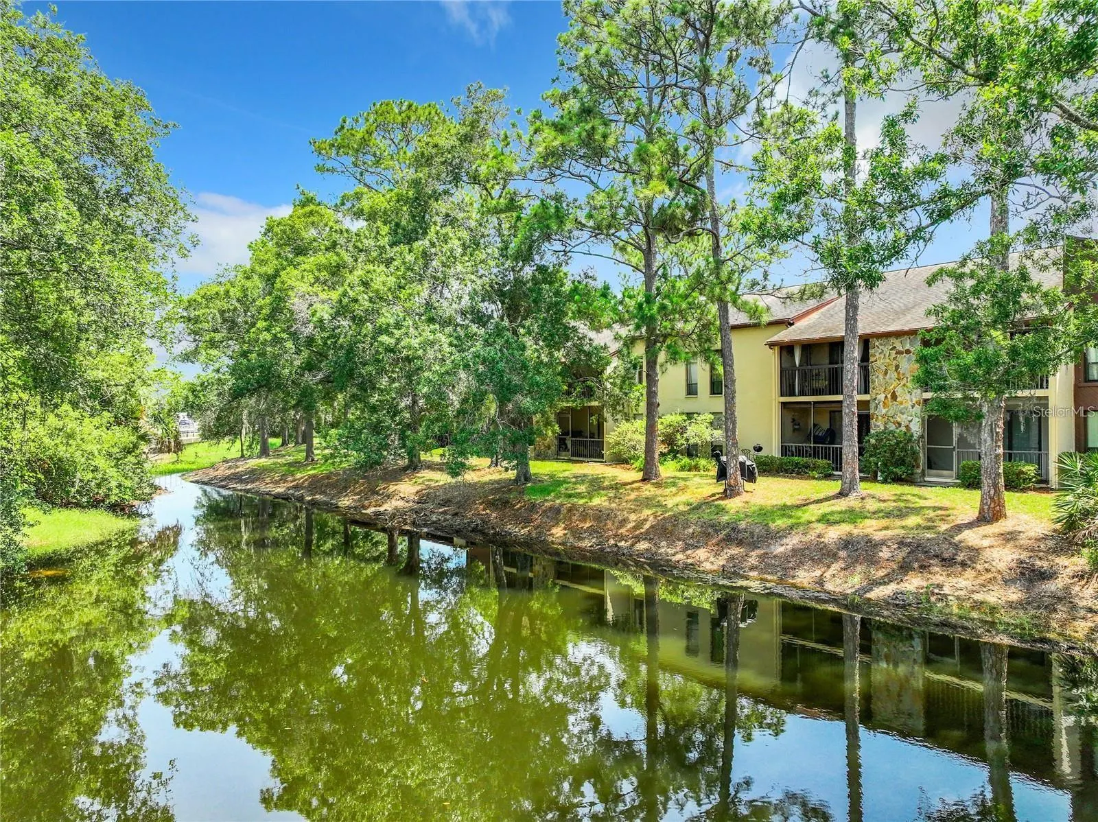 1200 TARPON WOODS BLVD #M8, #M8