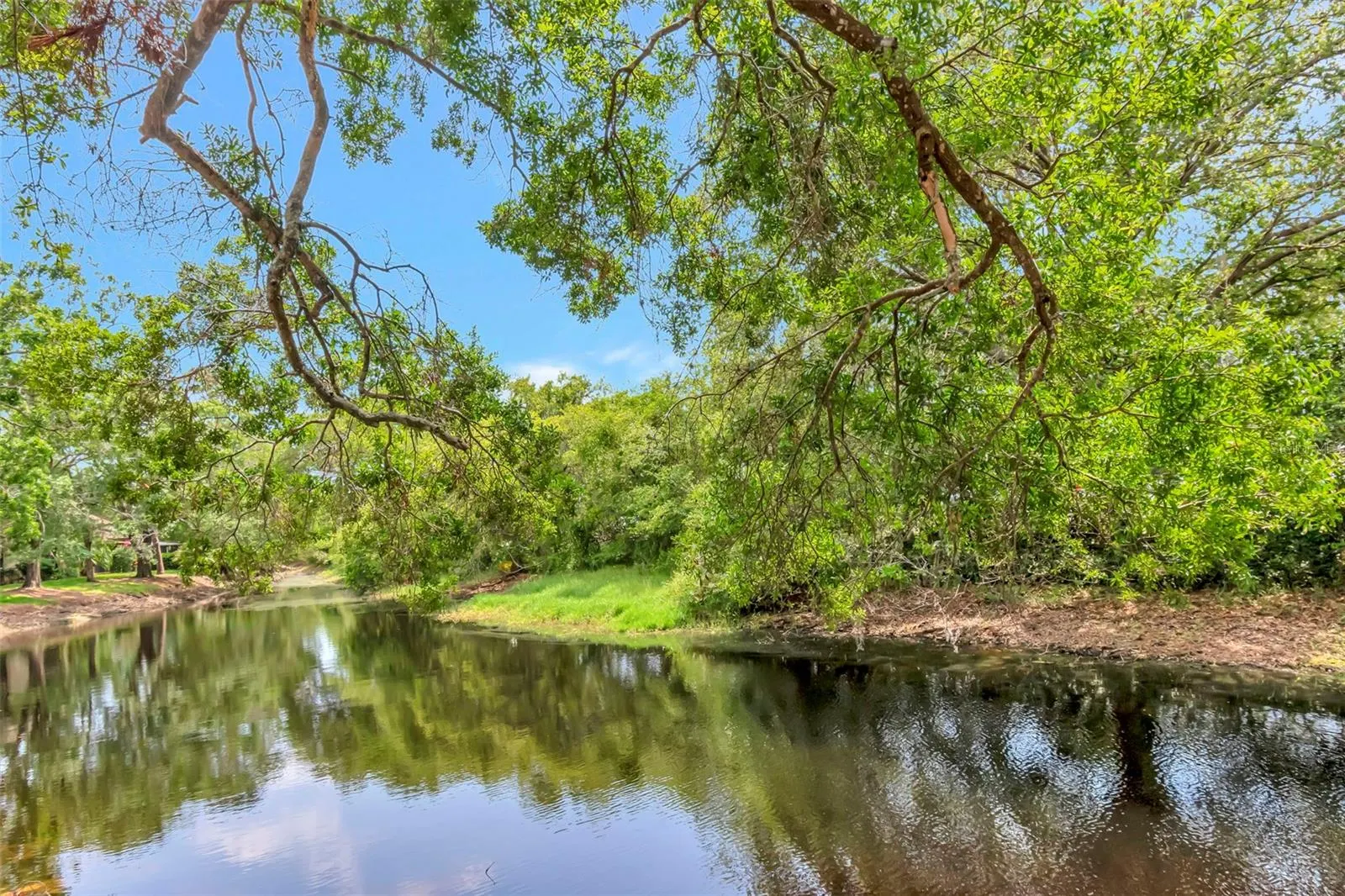 1200 TARPON WOODS BLVD #M8, #M8