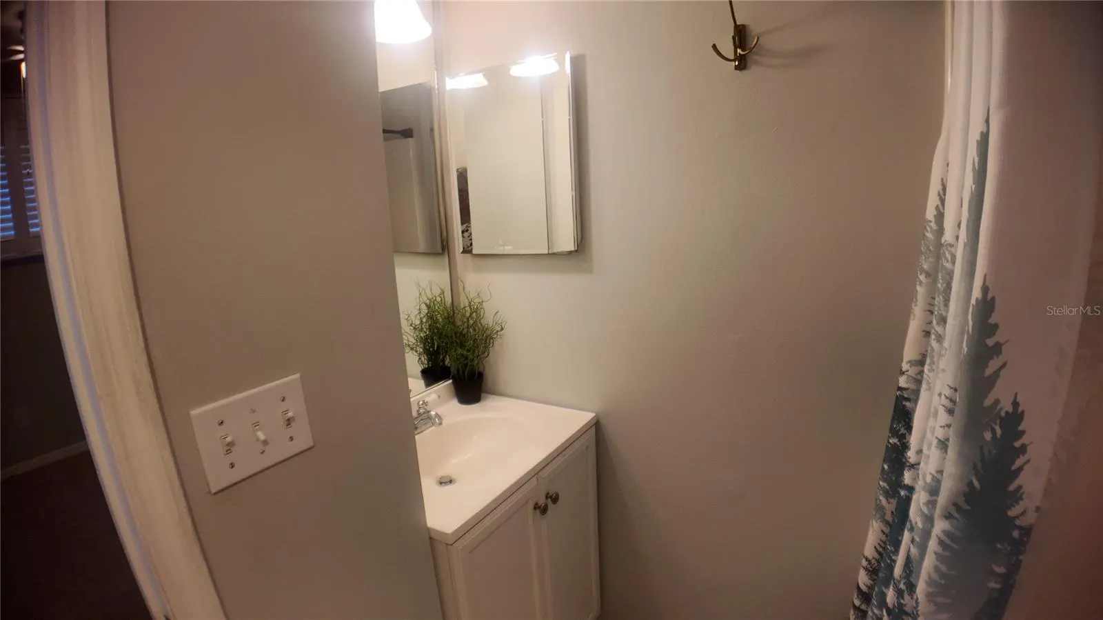 15402 LAKE MAGDALENE BLVD