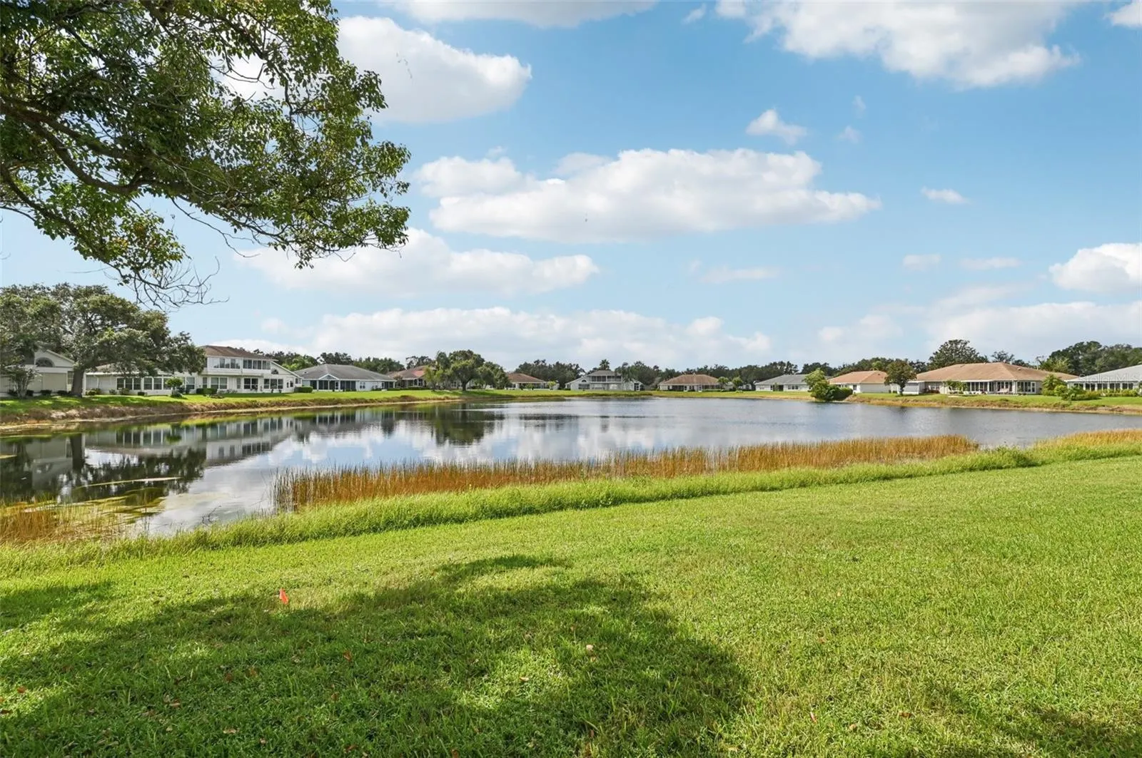 2218 OLIVE BRANCH DR