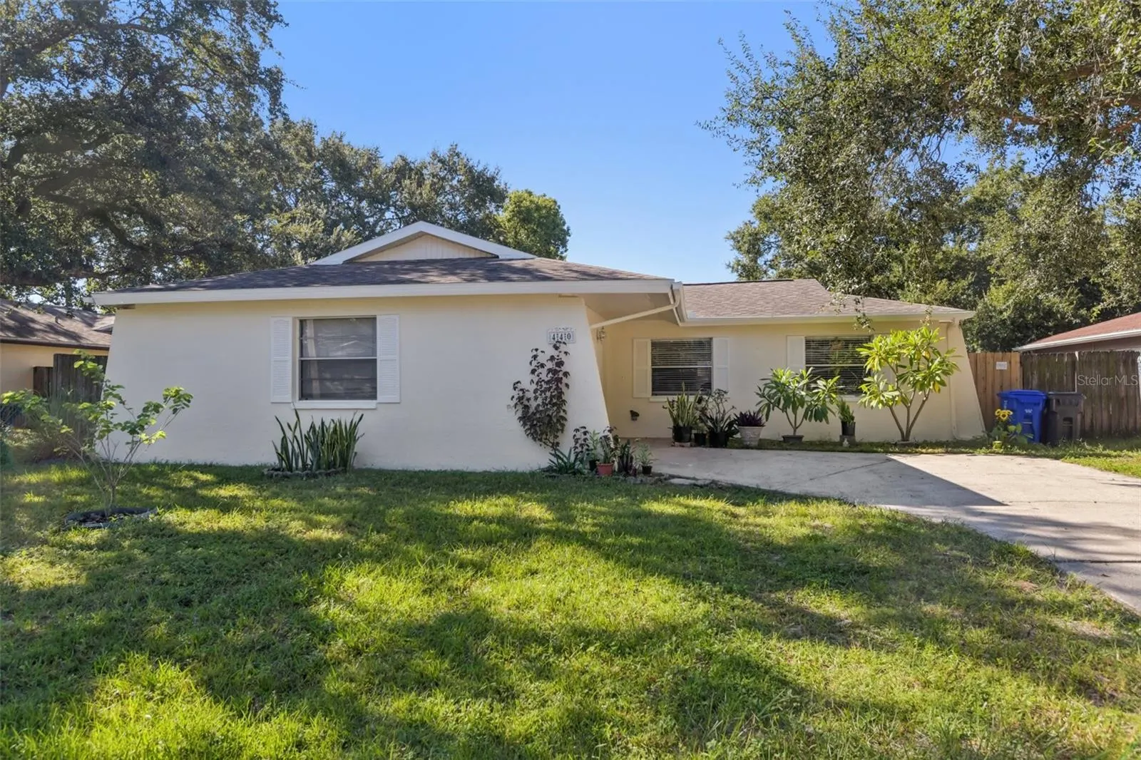 440 EVERGREEN DR