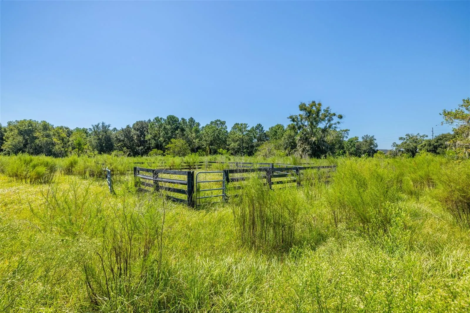 13410 WALDEN SHEFFIELD RD
