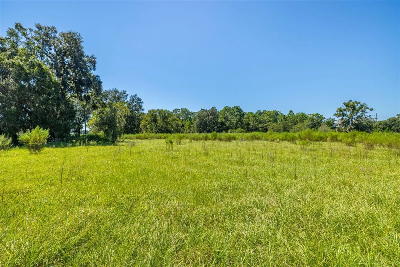 13410 WALDEN SHEFFIELD RD
