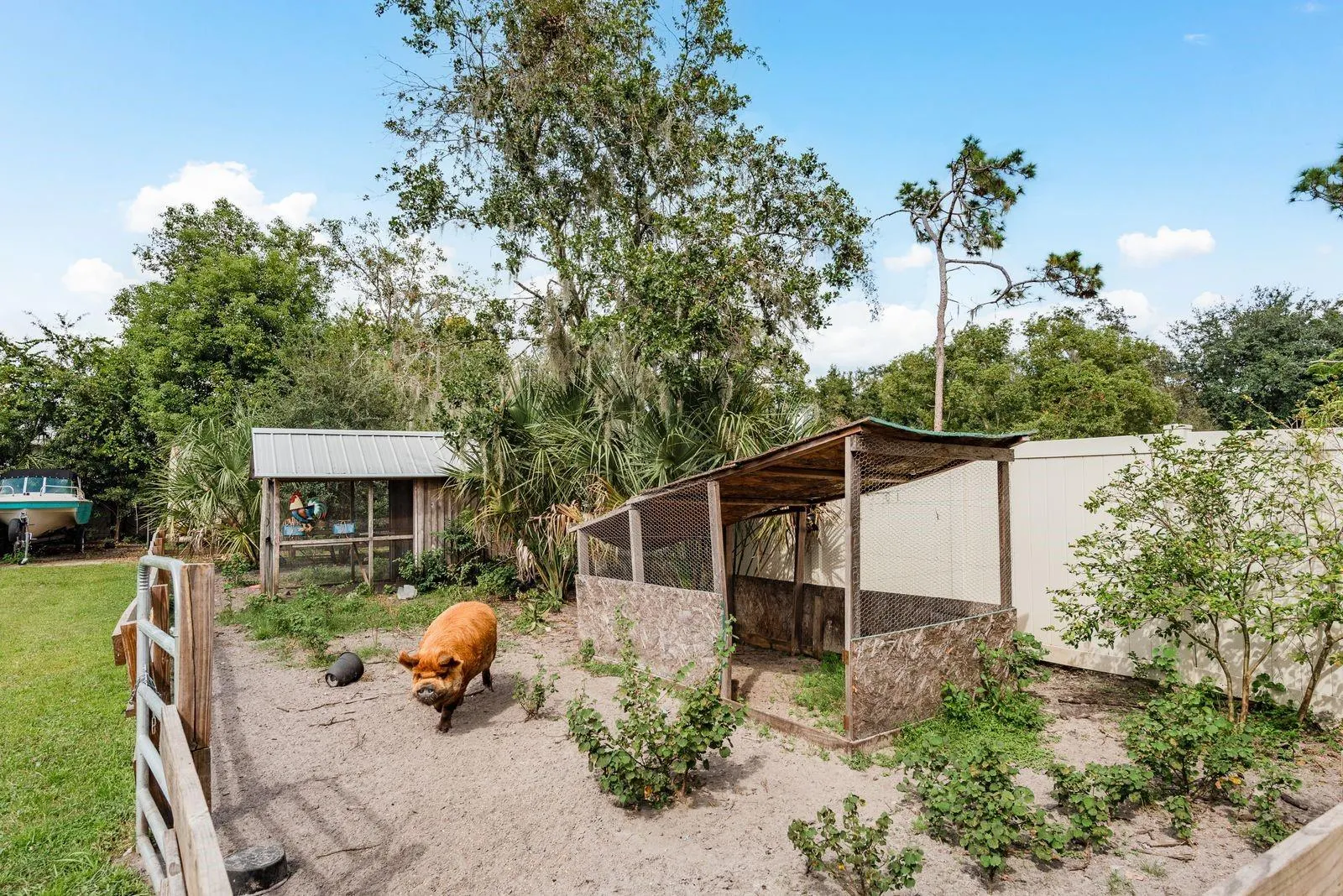 11124 CHURCH DR