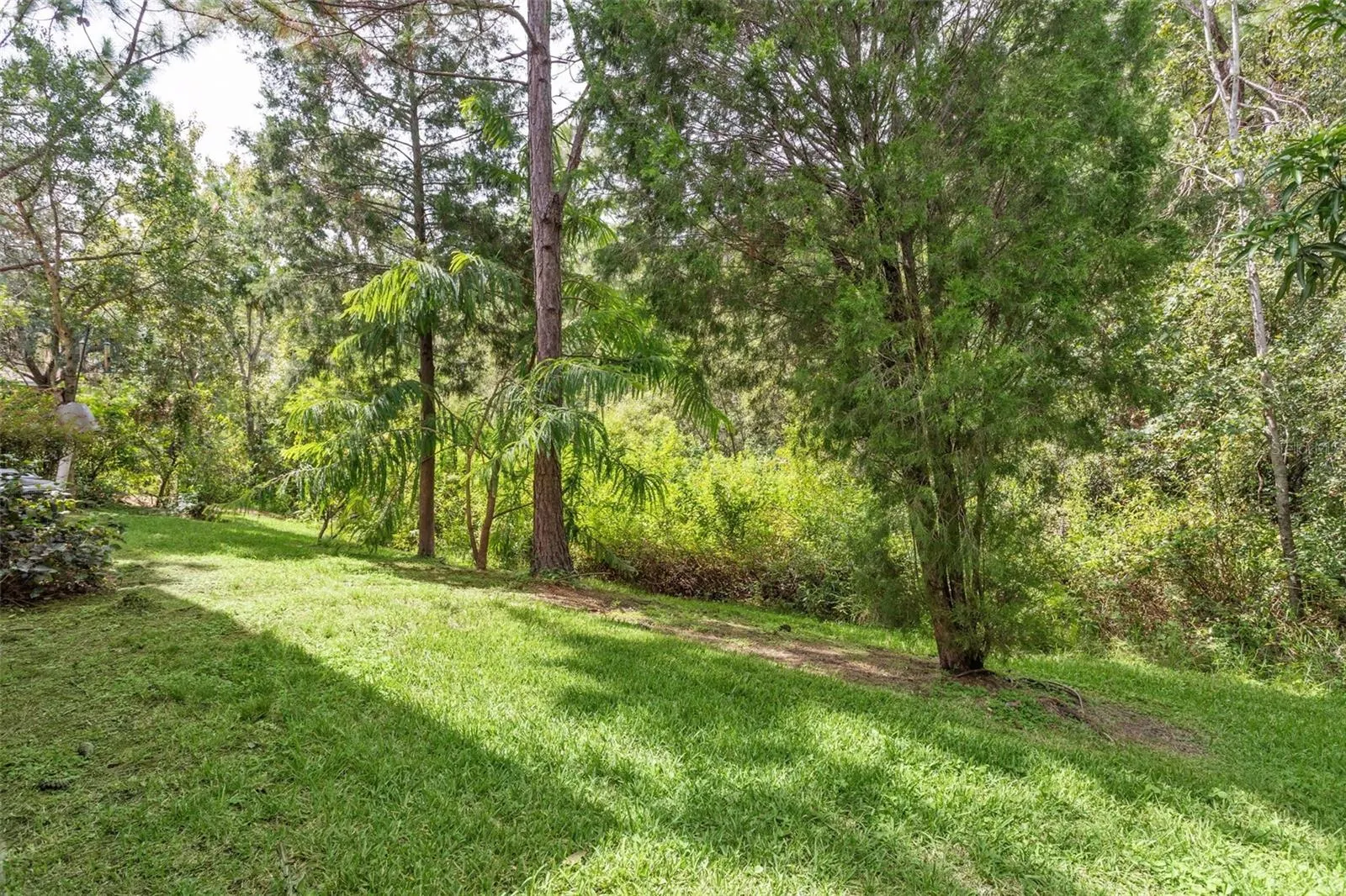 16036 BELLA WOODS DR