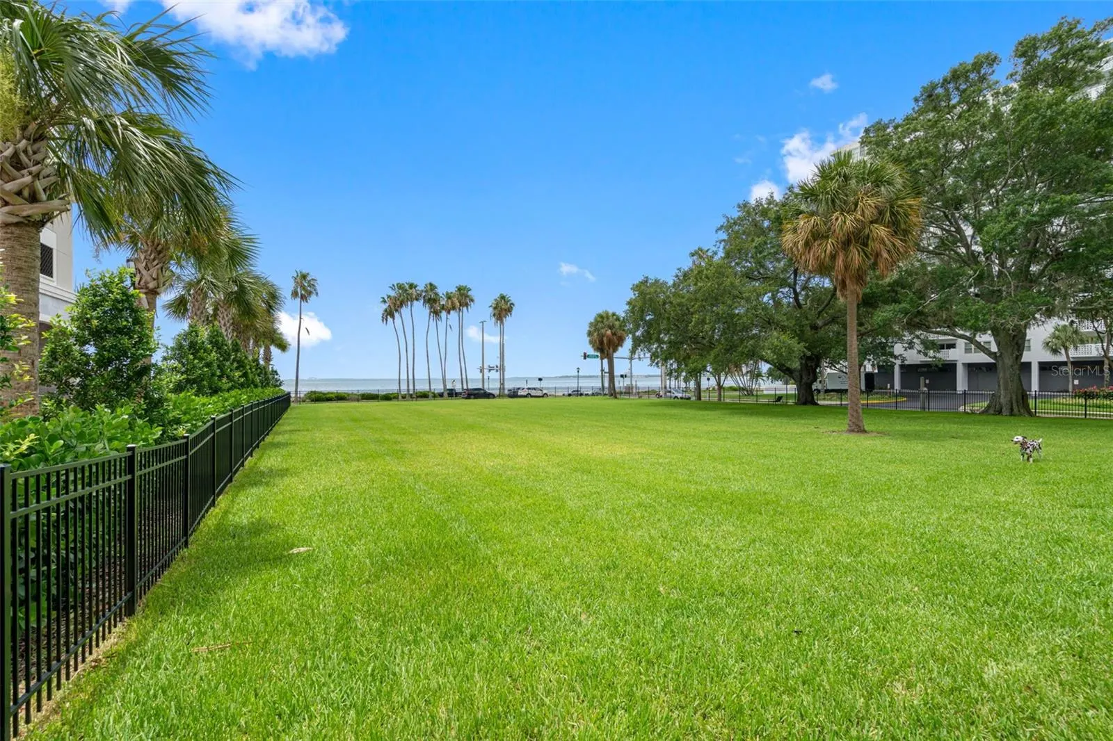 2109 BAYSHORE BLVD #102, #102