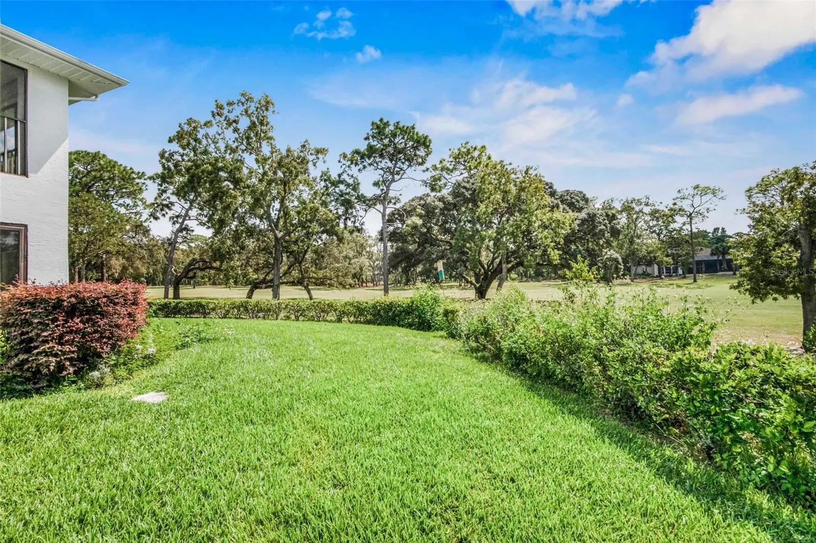 135 ANTON CT