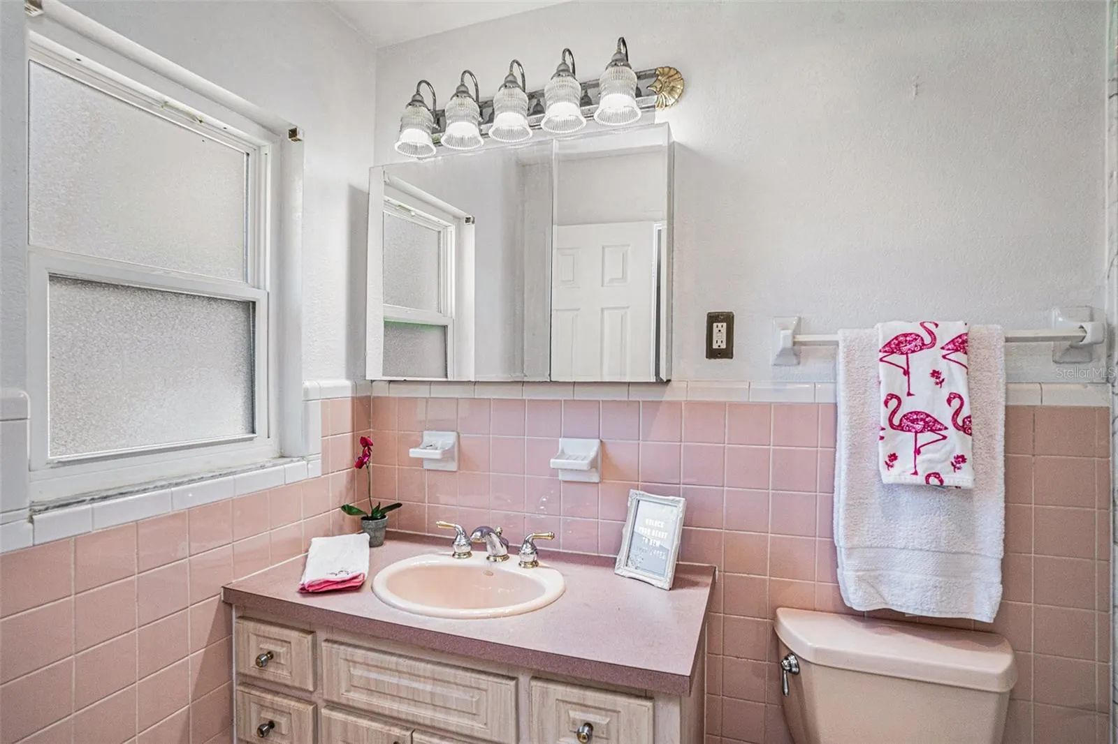 2531 LAKE ELLEN DR