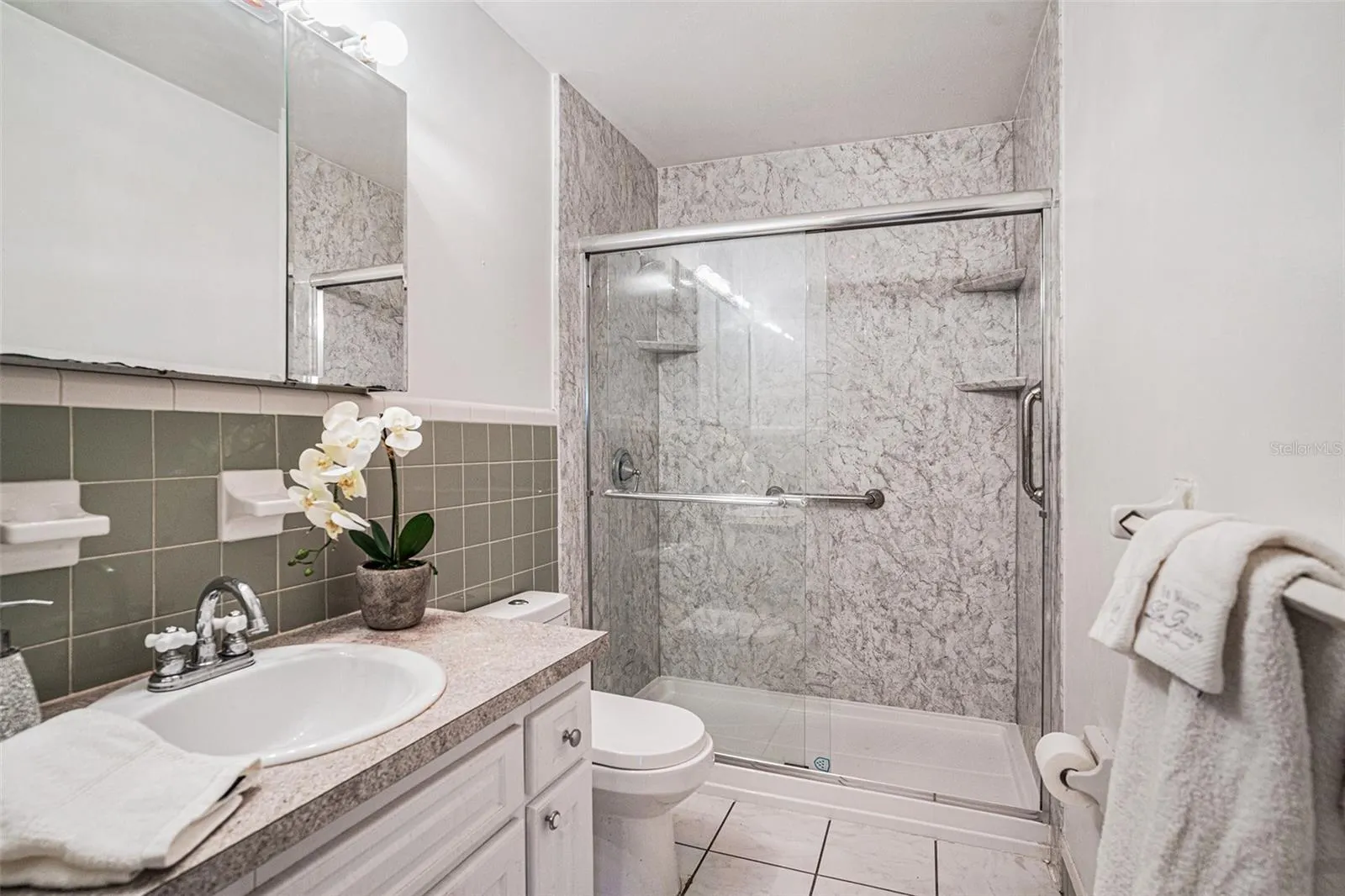 2531 LAKE ELLEN DR