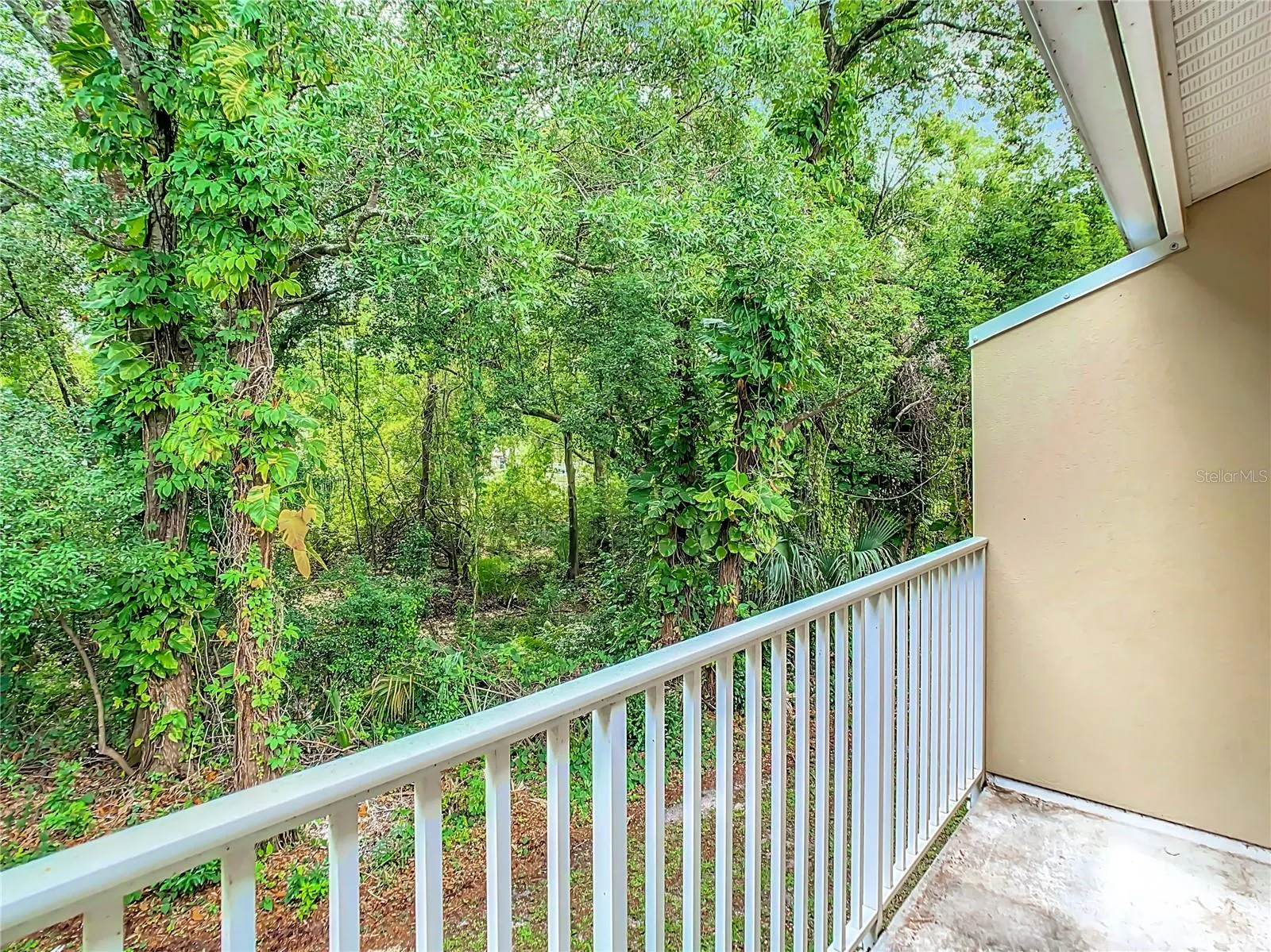 11237 CEDAR HOLLOW LN
