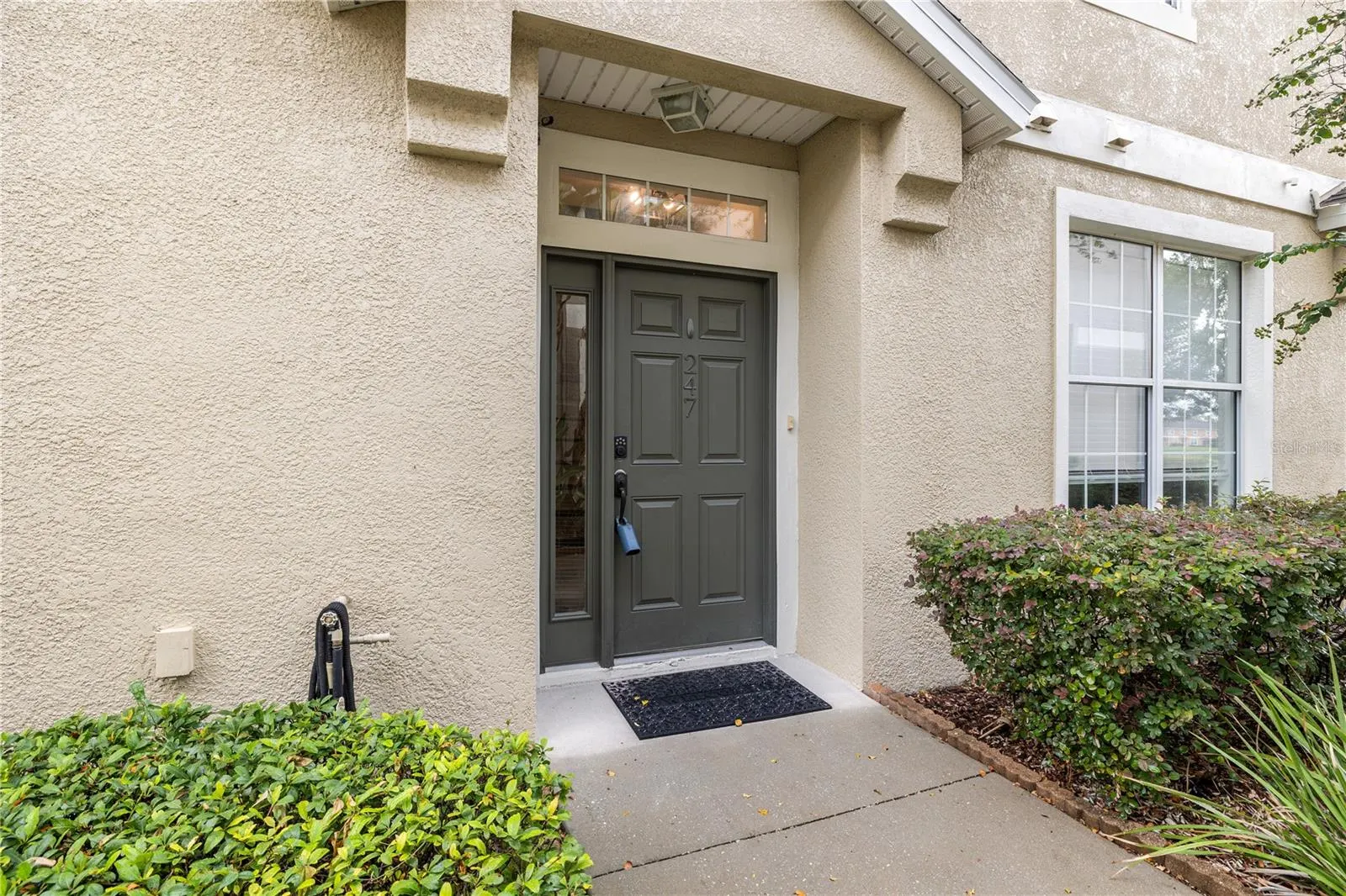 7001 INTERBAY BLVD #247, #247