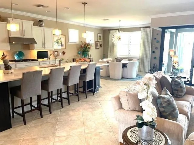 5872 SNOWY EGRET DR