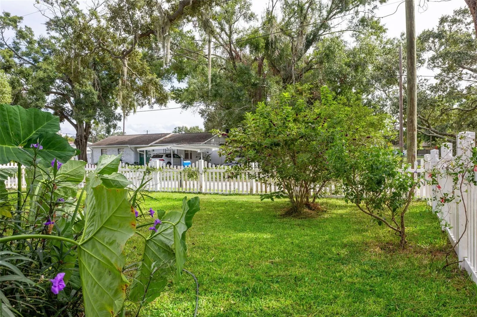 2321 CARROLL GROVE DR