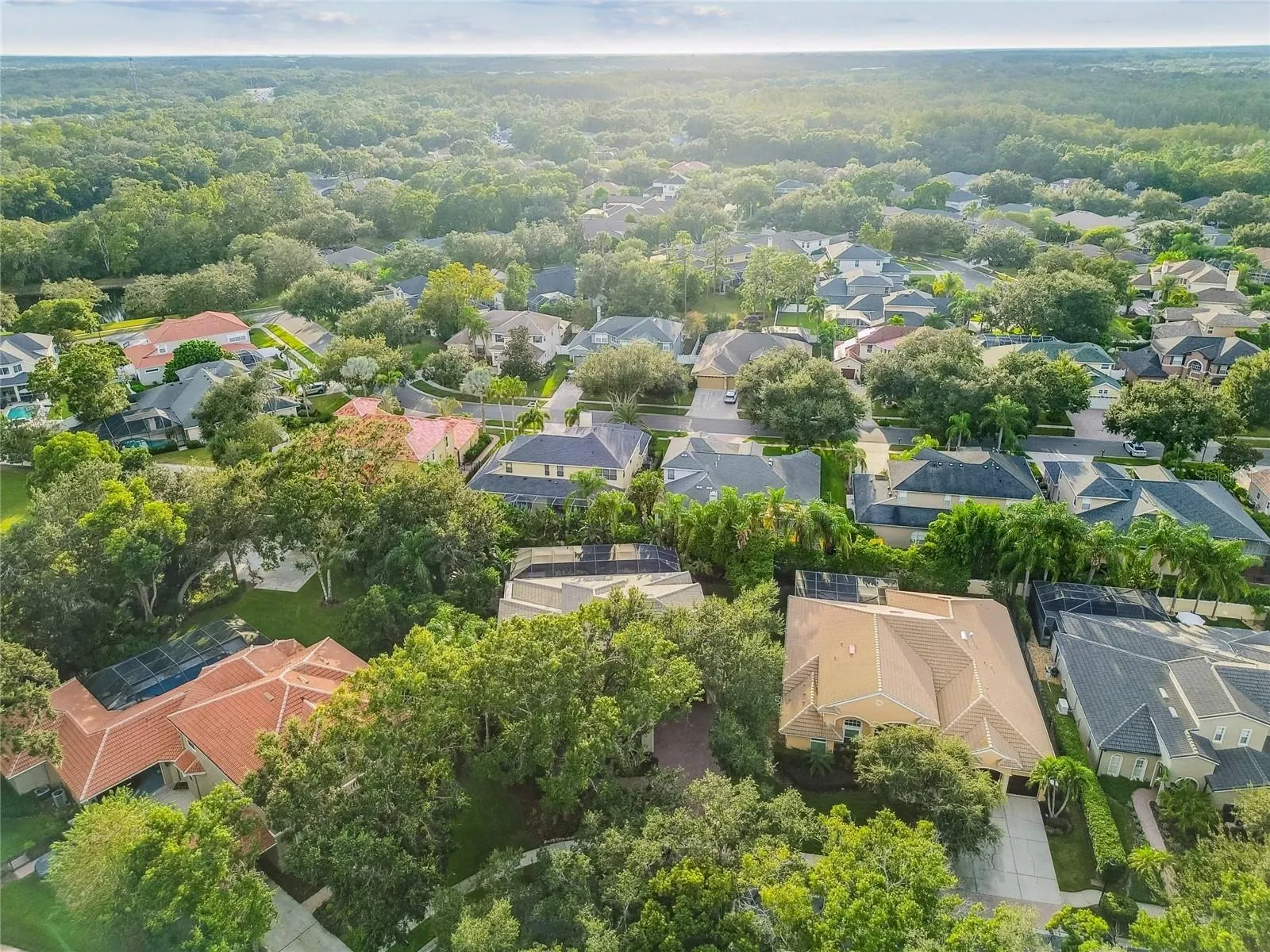 1925 FLORESTA VIEW DR