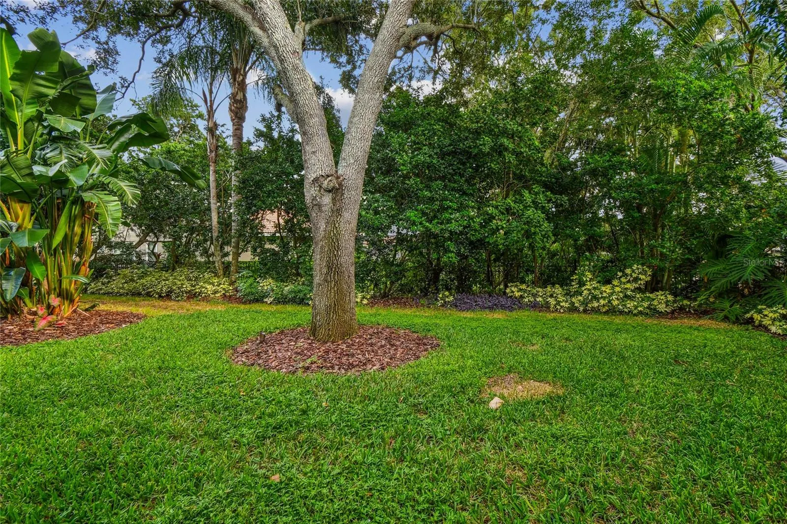 1925 FLORESTA VIEW DR