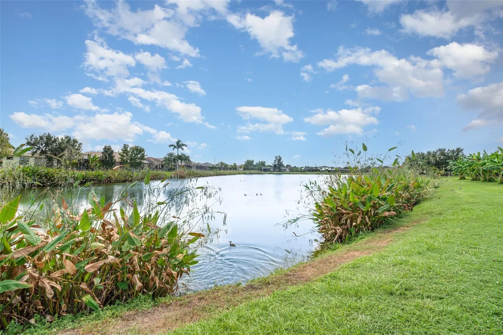 221 STAR SHELL DR