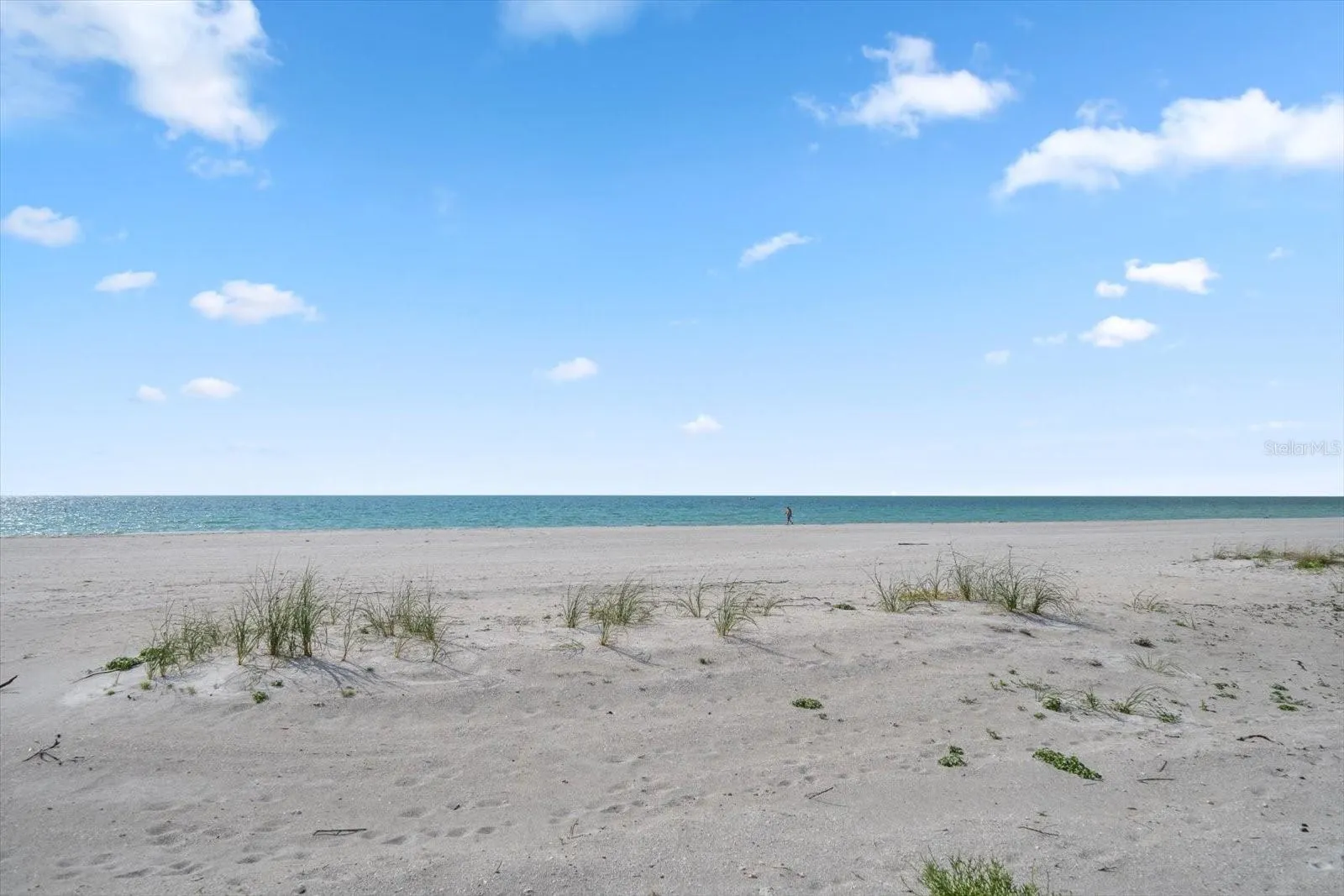1400 GULF BLVD #804, #804