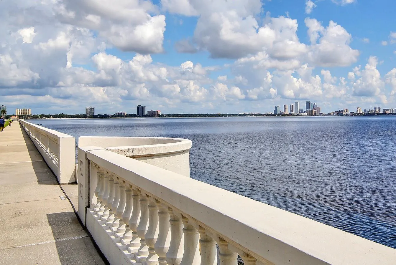 3602 S MACDILL AVE #102, #102