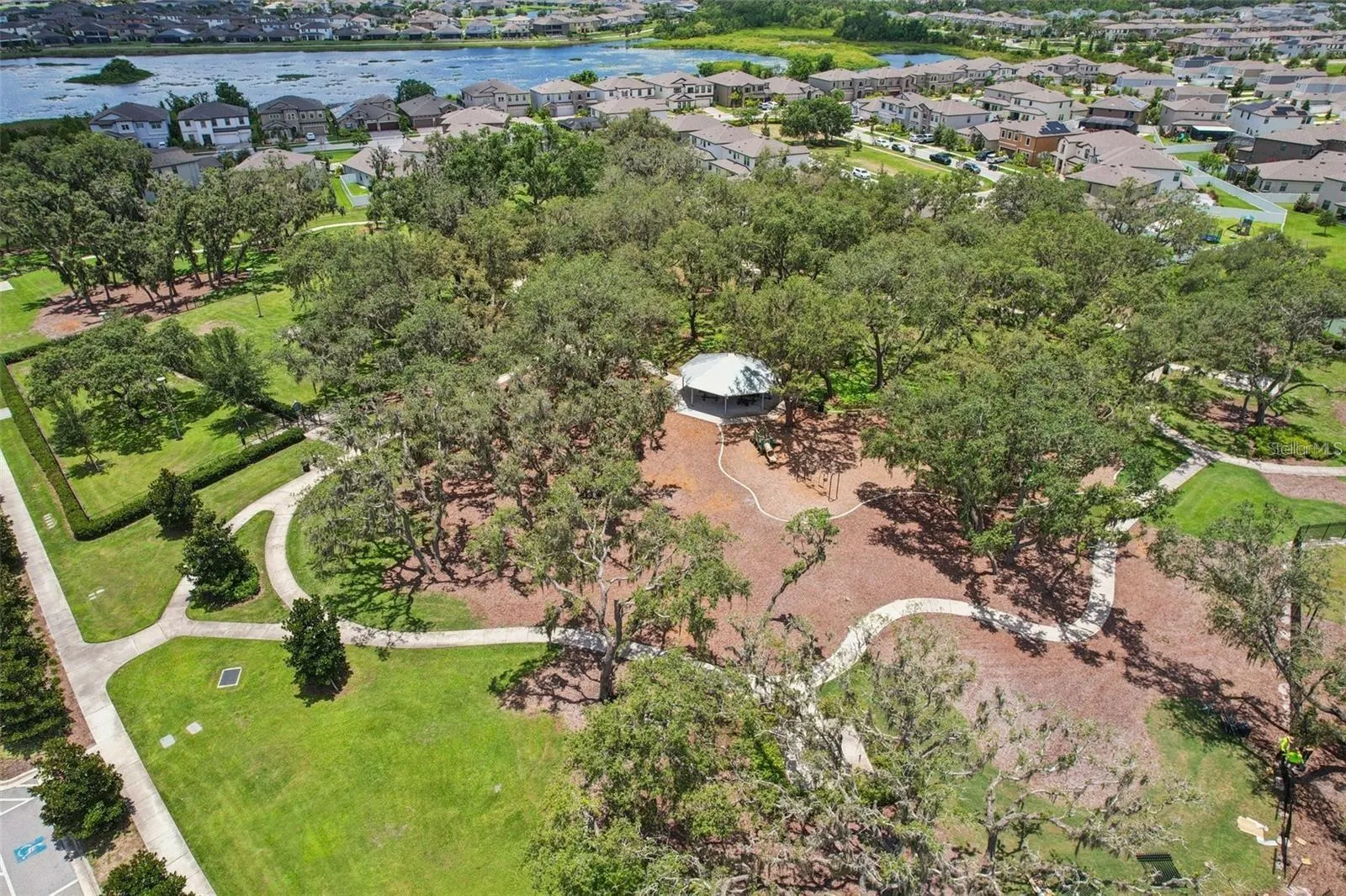 13120 FOXTAIL FERN DR