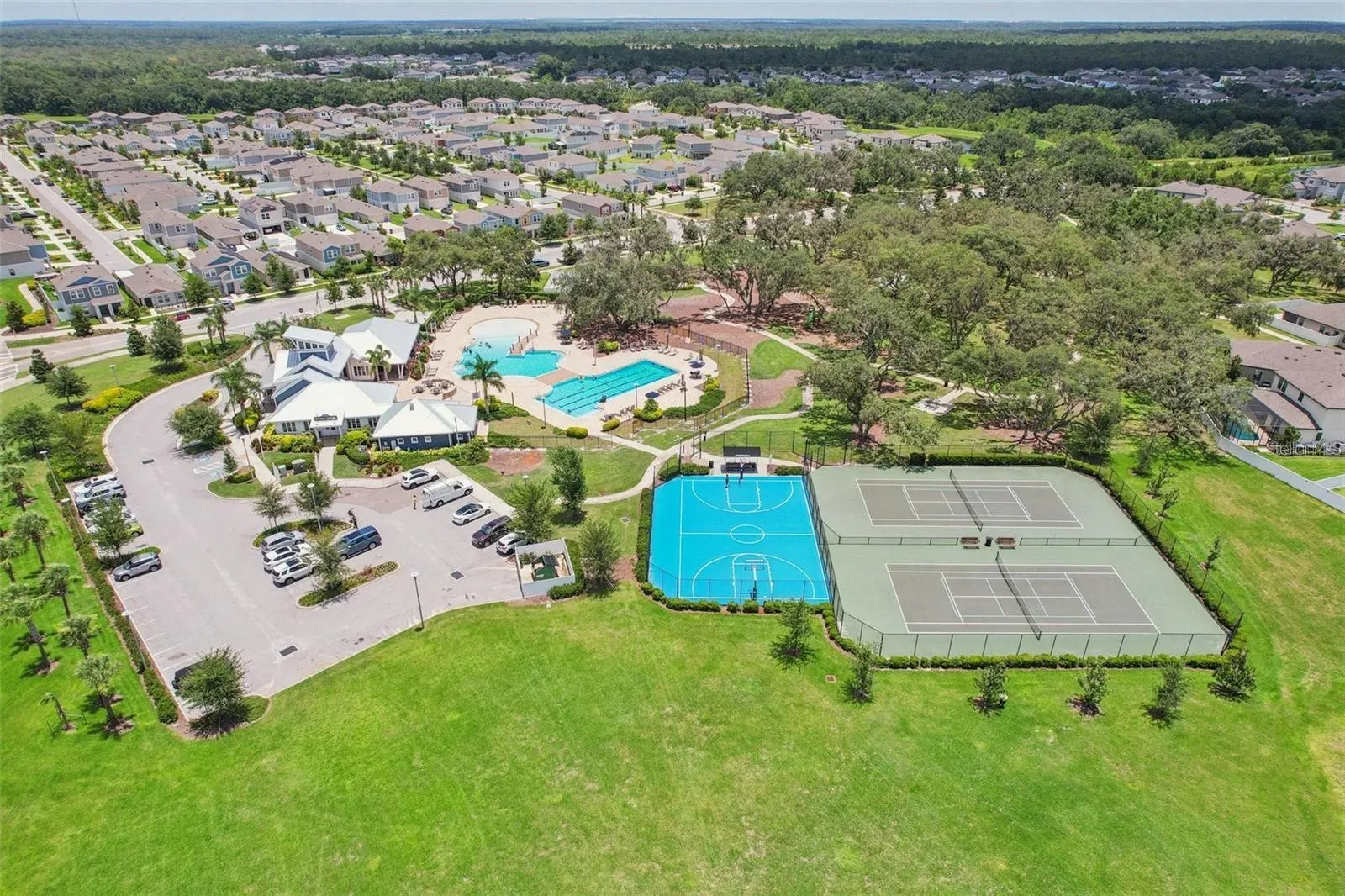 13120 FOXTAIL FERN DR