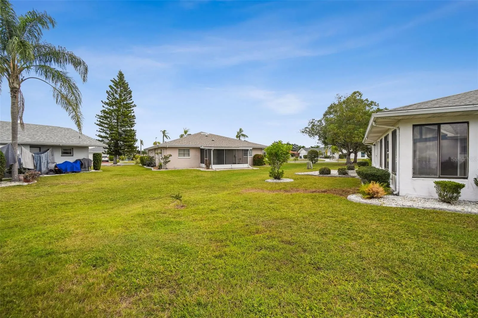 1803 PINEAPPLE PALM CT