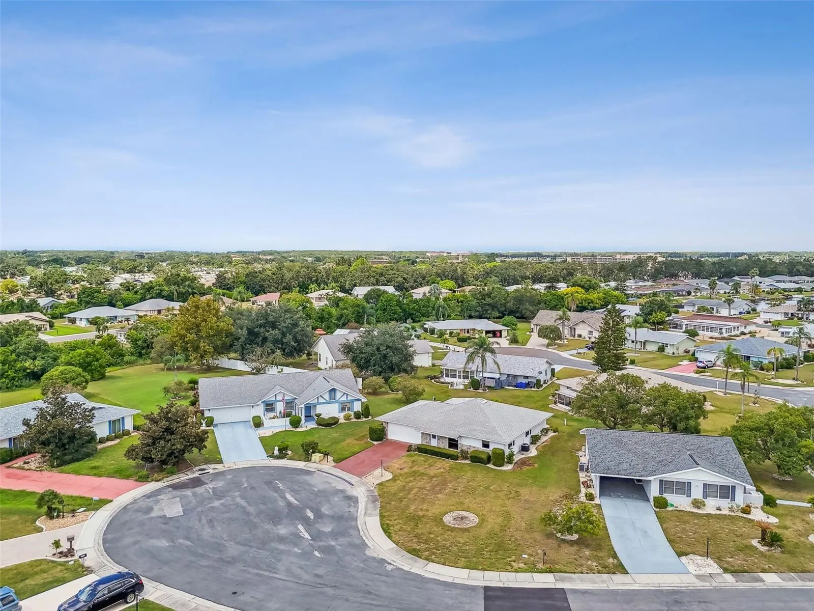 1803 PINEAPPLE PALM CT