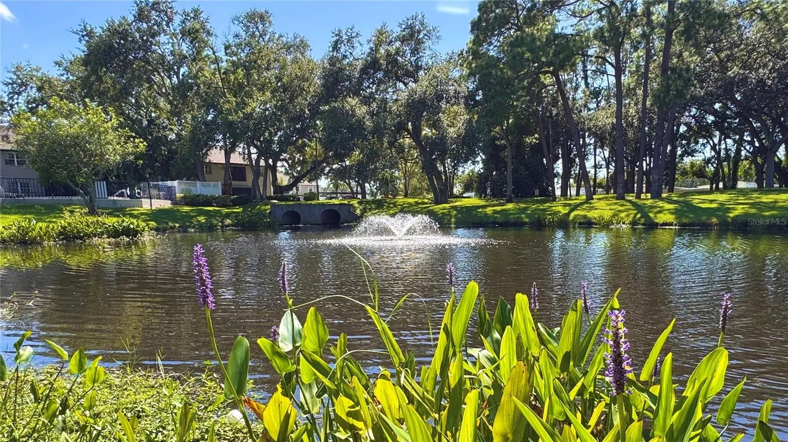 5265 E BAY DR #310, #310