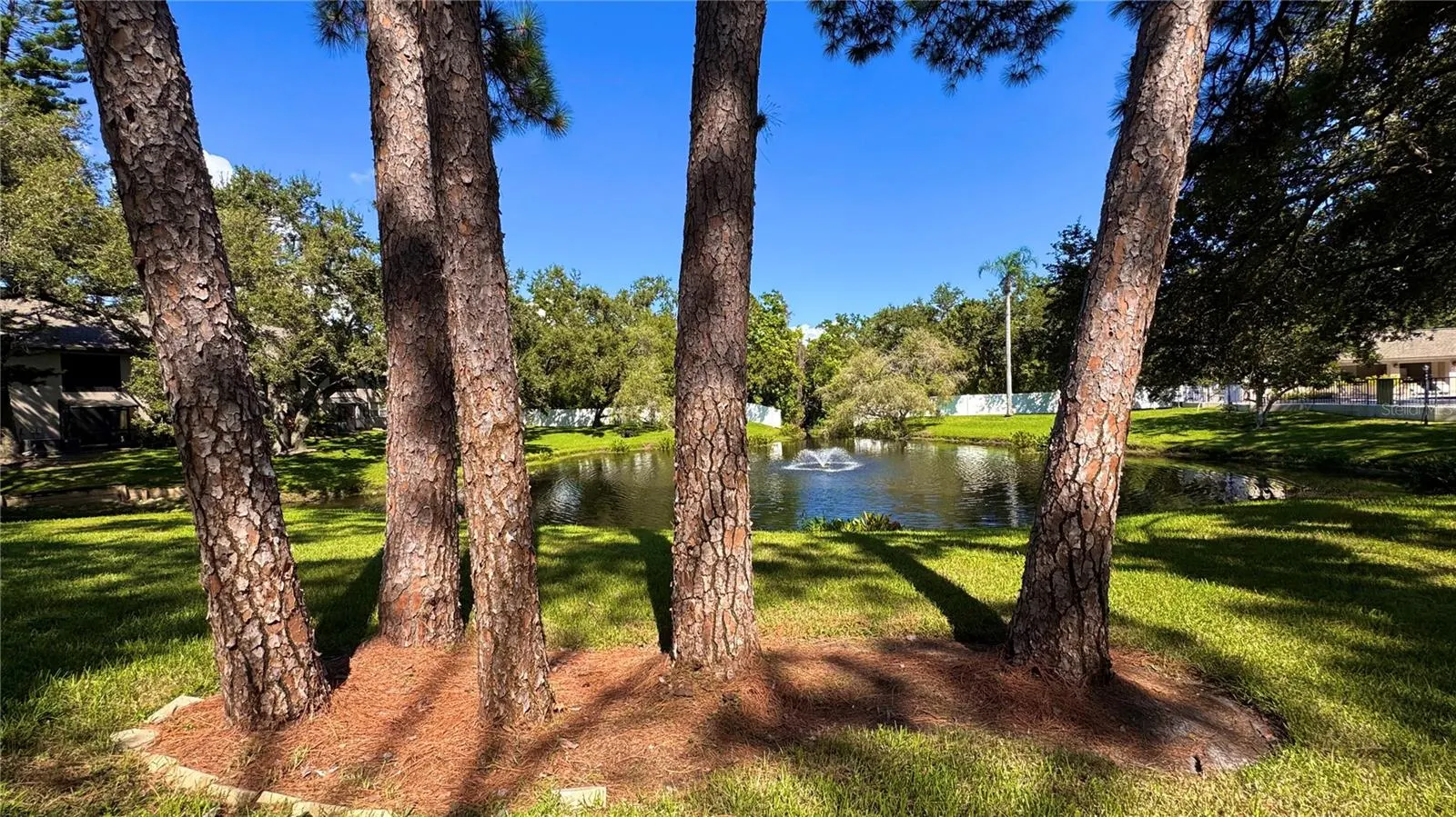 5265 E BAY DR #310, #310