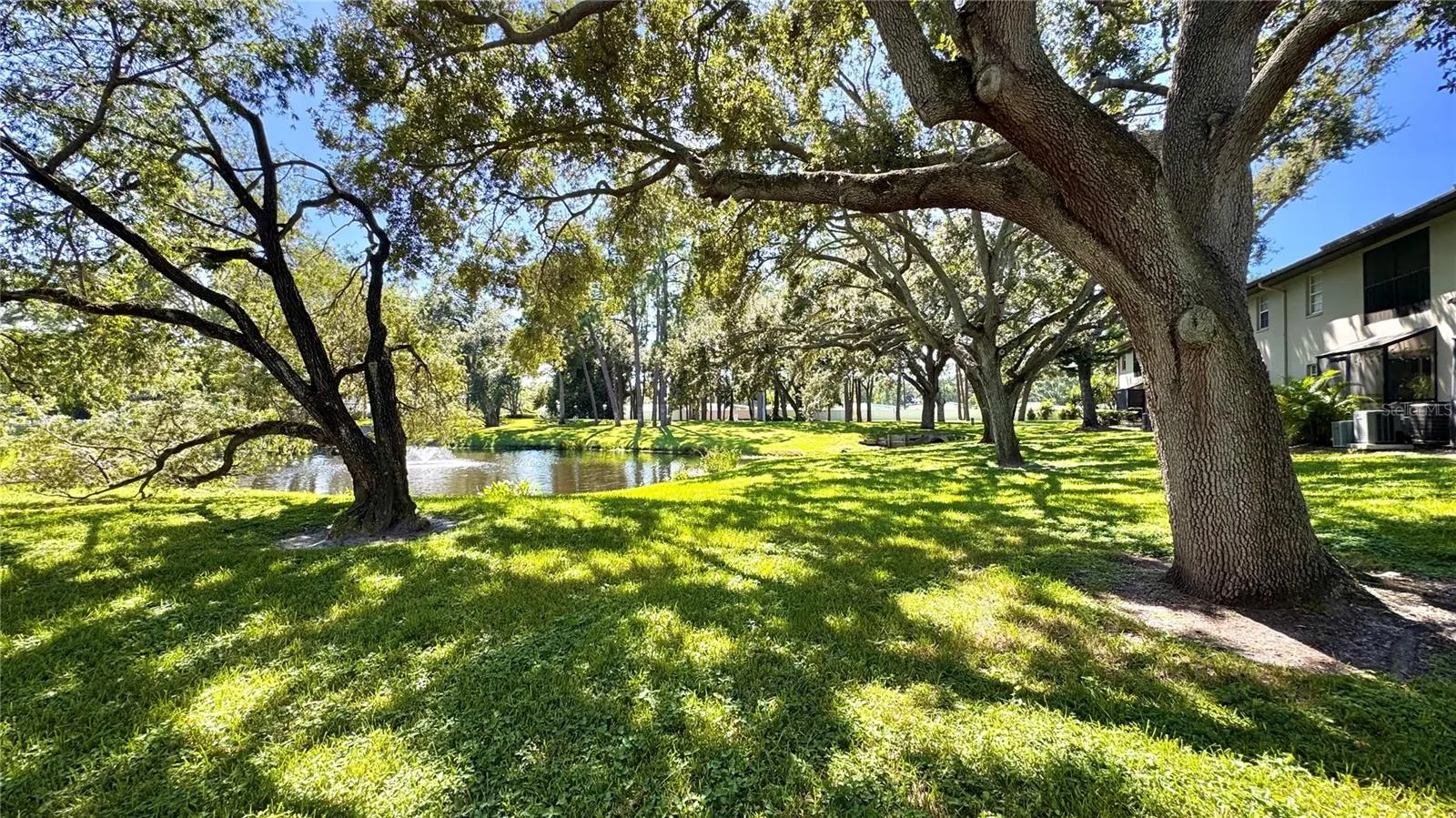 5265 E BAY DR #310, #310