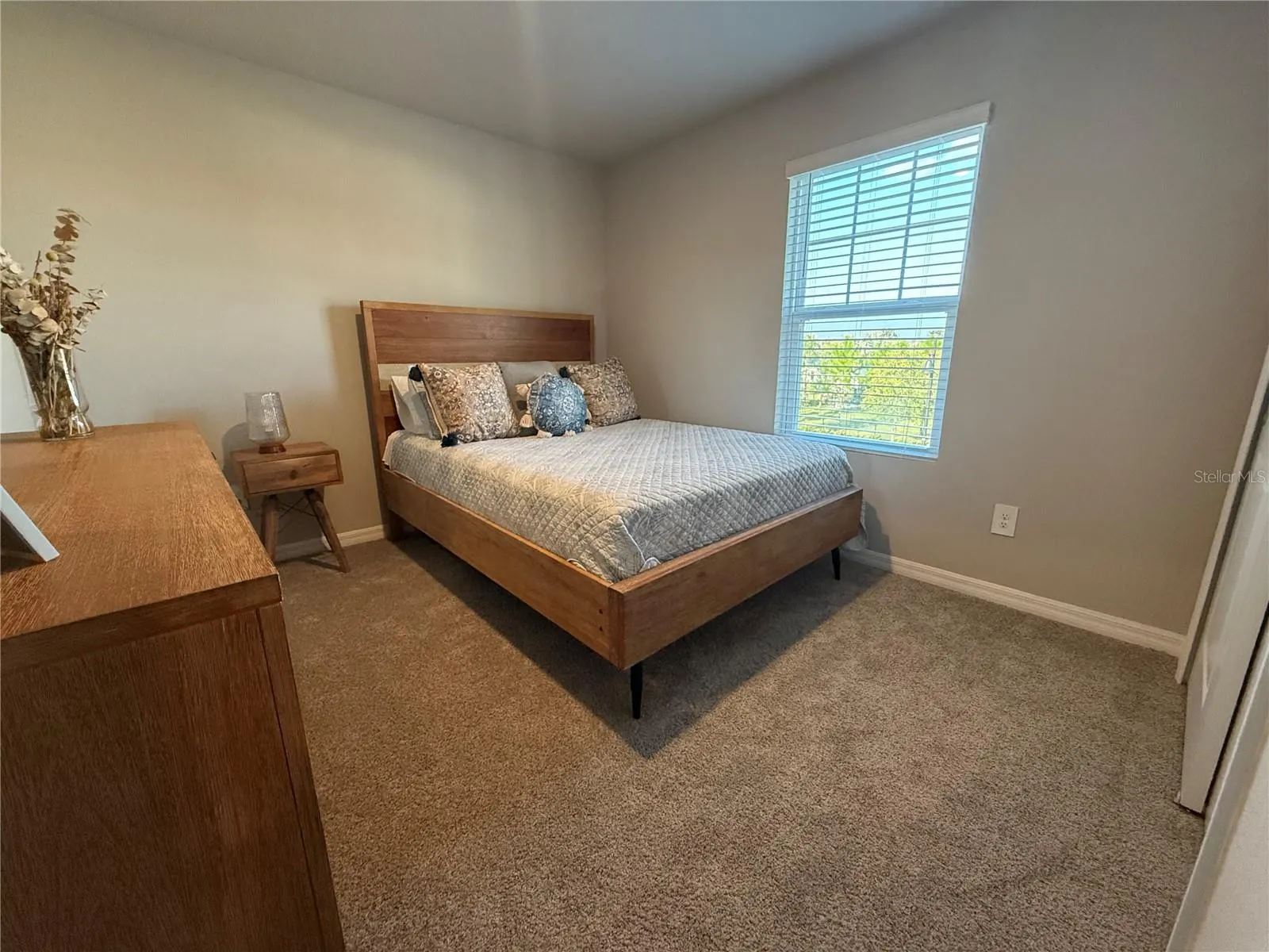3919 RADIANT MOUNTAIN DR