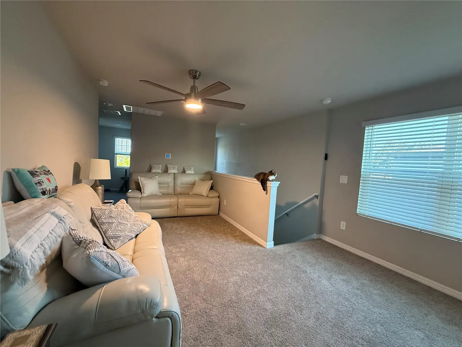 3919 RADIANT MOUNTAIN DR