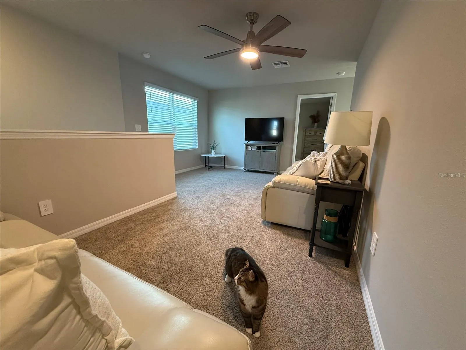 3919 RADIANT MOUNTAIN DR