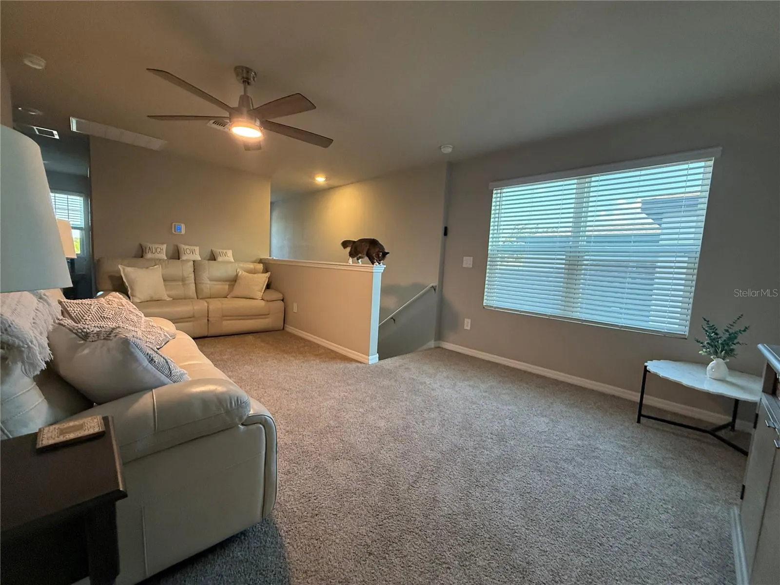 3919 RADIANT MOUNTAIN DR