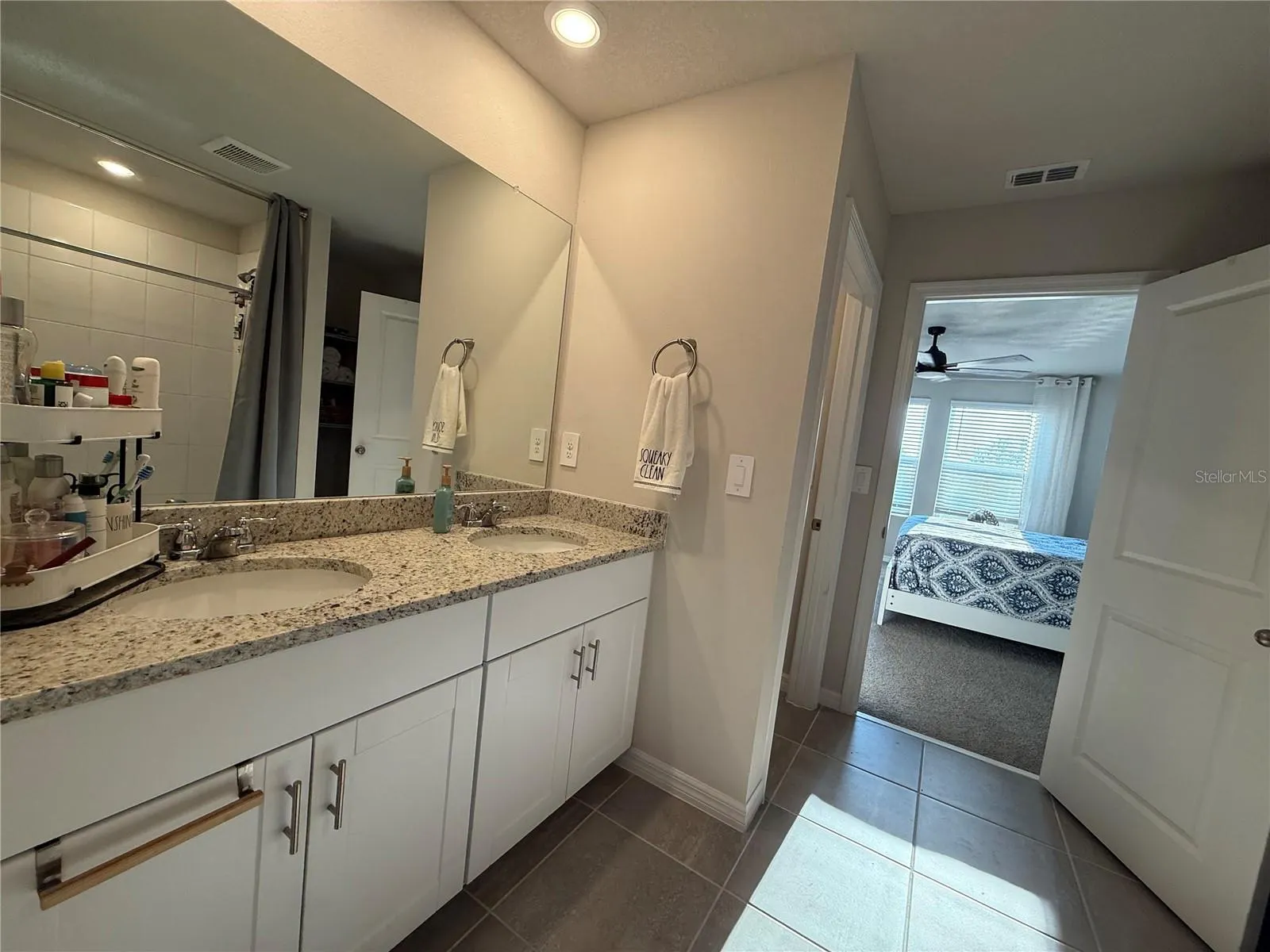 3919 RADIANT MOUNTAIN DR