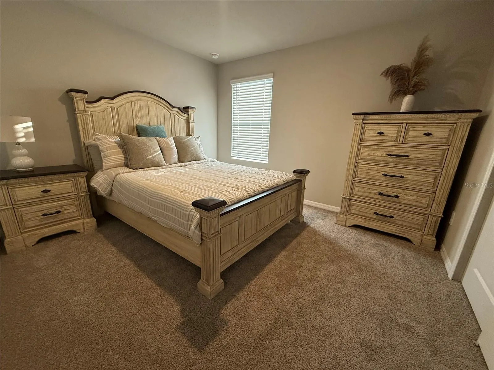 3919 RADIANT MOUNTAIN DR