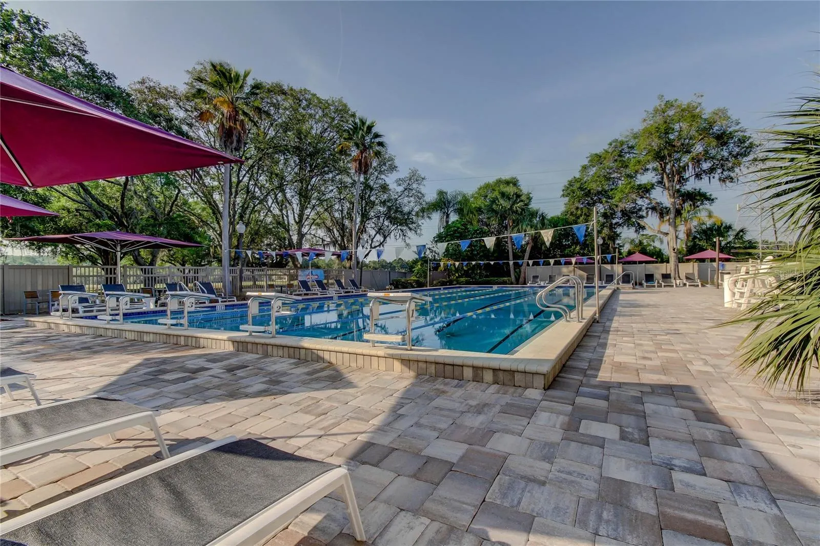 115 PALMETTO CT #115, #115